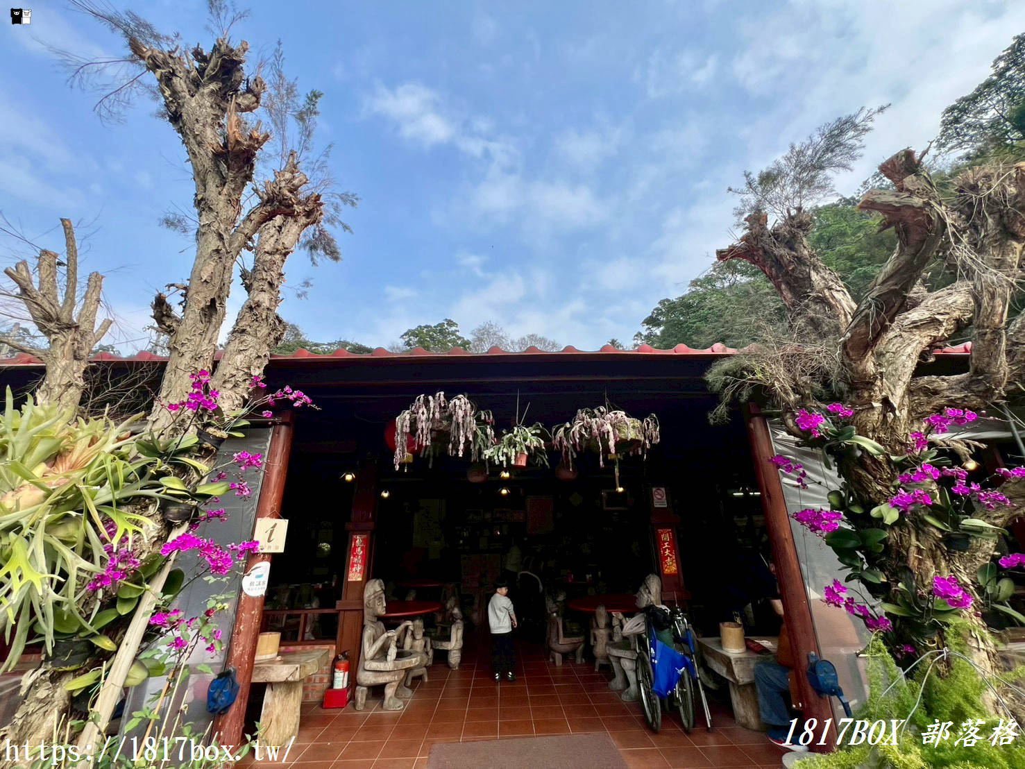 【新竹下午茶】九芎湖照咖雅品：隱身陳家農場的森林咖啡館，抹茶控與鬆餅迷必收！