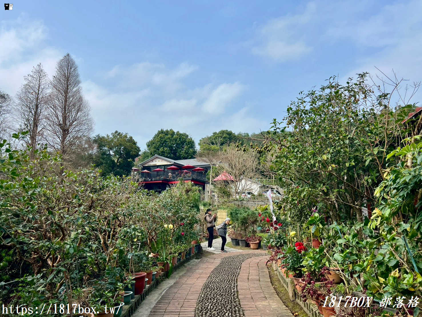 【新竹下午茶】九芎湖照咖雅品：隱身陳家農場的森林咖啡館，抹茶控與鬆餅迷必收！