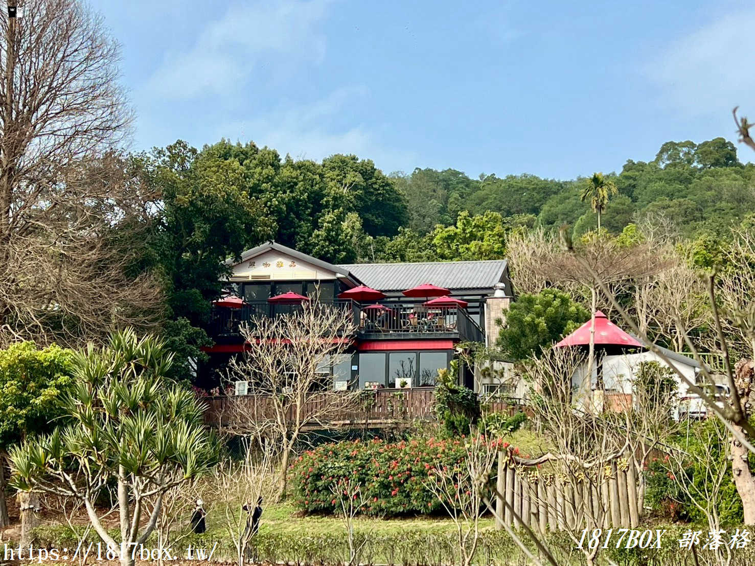 【新竹下午茶】九芎湖照咖雅品：隱身陳家農場的森林咖啡館，抹茶控與鬆餅迷必收！