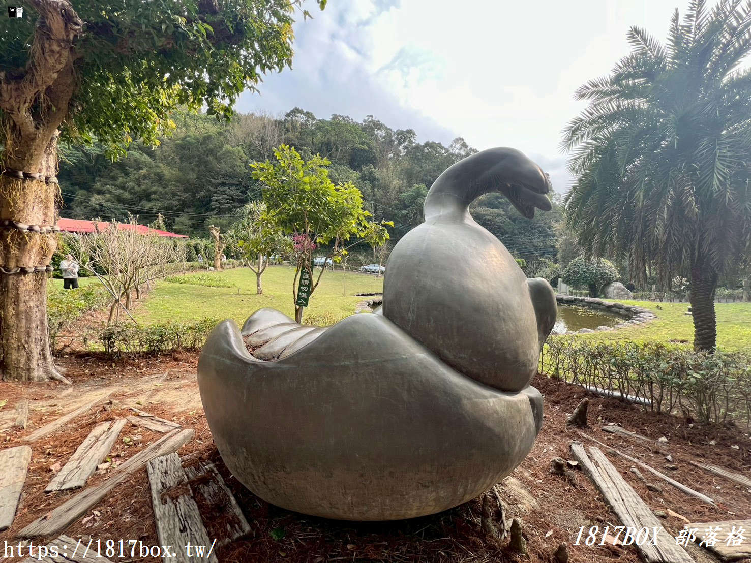 【新竹下午茶】九芎湖照咖雅品：隱身陳家農場的森林咖啡館，抹茶控與鬆餅迷必收！