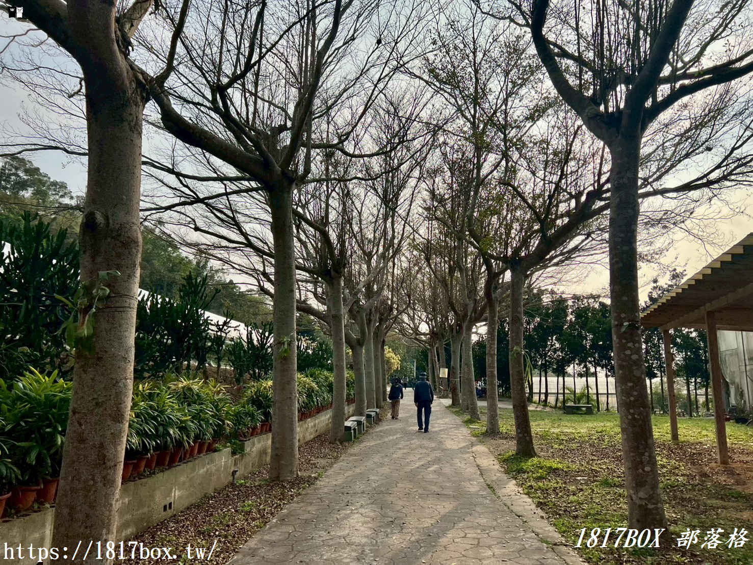 【新竹景點】福祥仙人掌園藝中心：免門票！走進 8,000 種多肉植物的沙漠奇境，親子 DIY 與網美必拍攻略