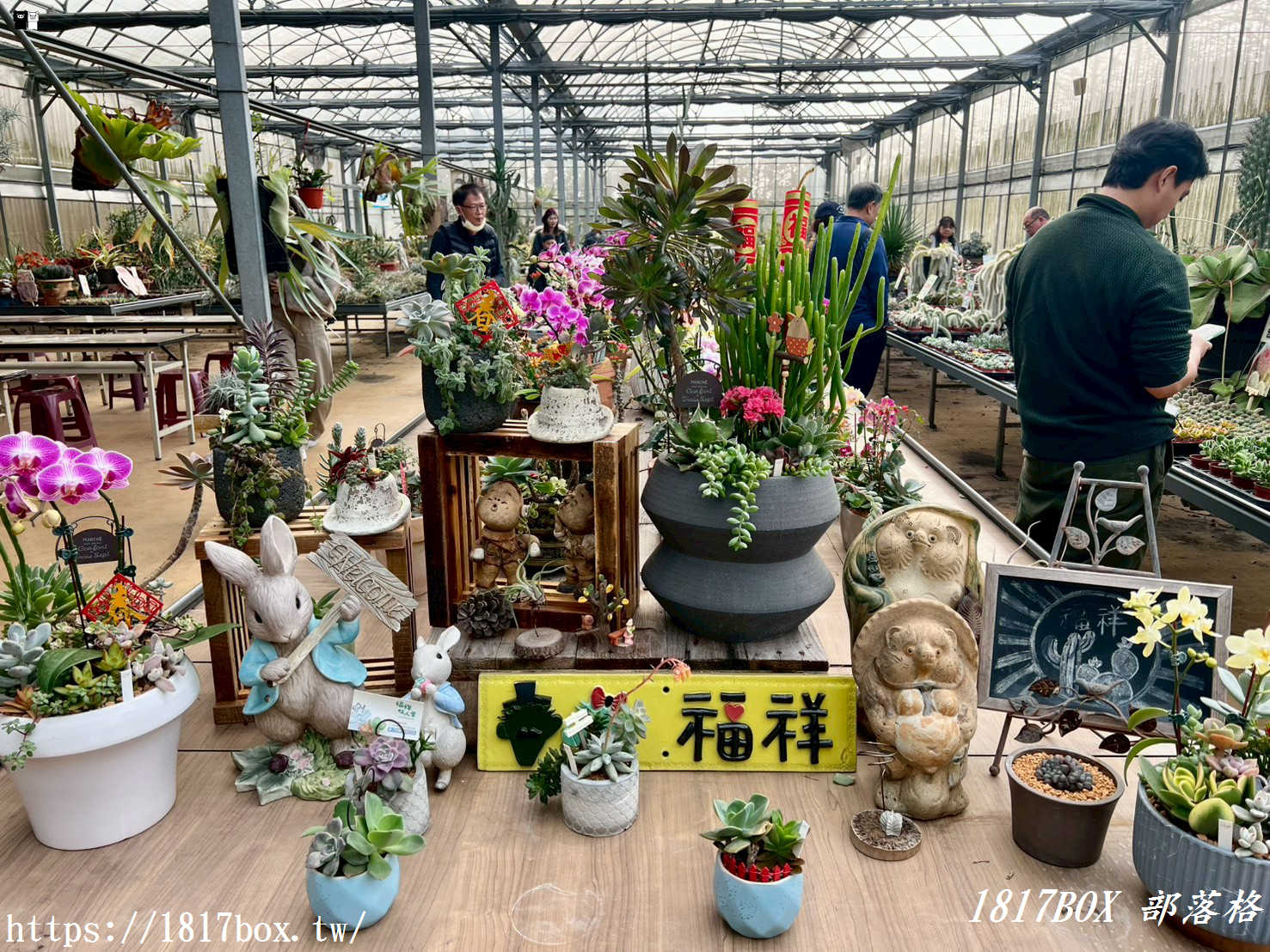 【新竹景點】福祥仙人掌園藝中心：免門票！走進 8,000 種多肉植物的沙漠奇境，親子 DIY 與網美必拍攻略