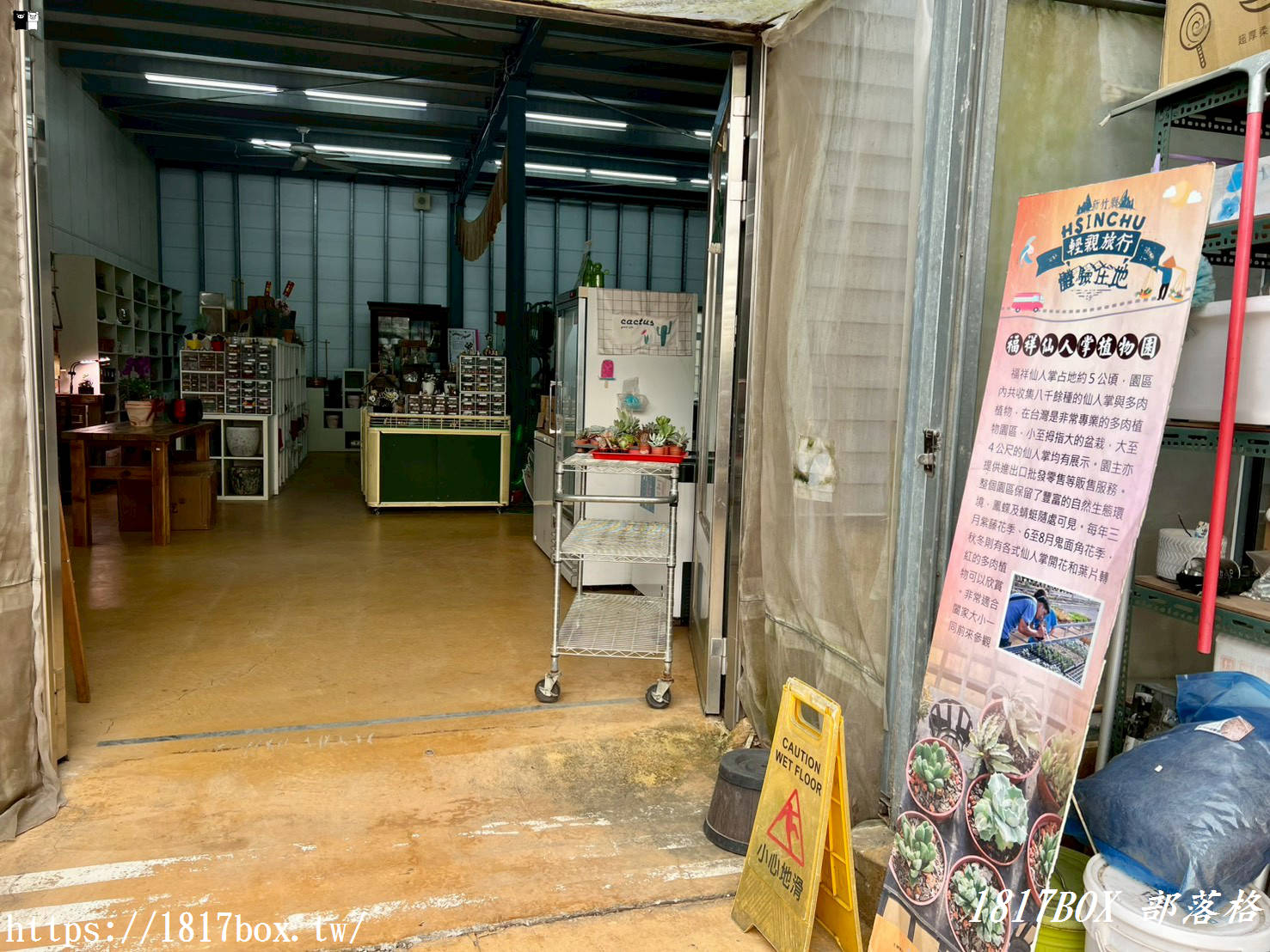 【新竹景點】福祥仙人掌園藝中心：免門票！走進 8,000 種多肉植物的沙漠奇境，親子 DIY 與網美必拍攻略