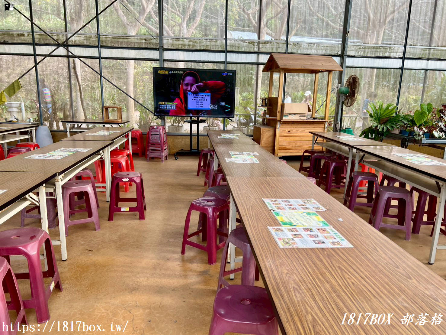 【新竹景點】福祥仙人掌園藝中心：免門票！走進 8,000 種多肉植物的沙漠奇境，親子 DIY 與網美必拍攻略