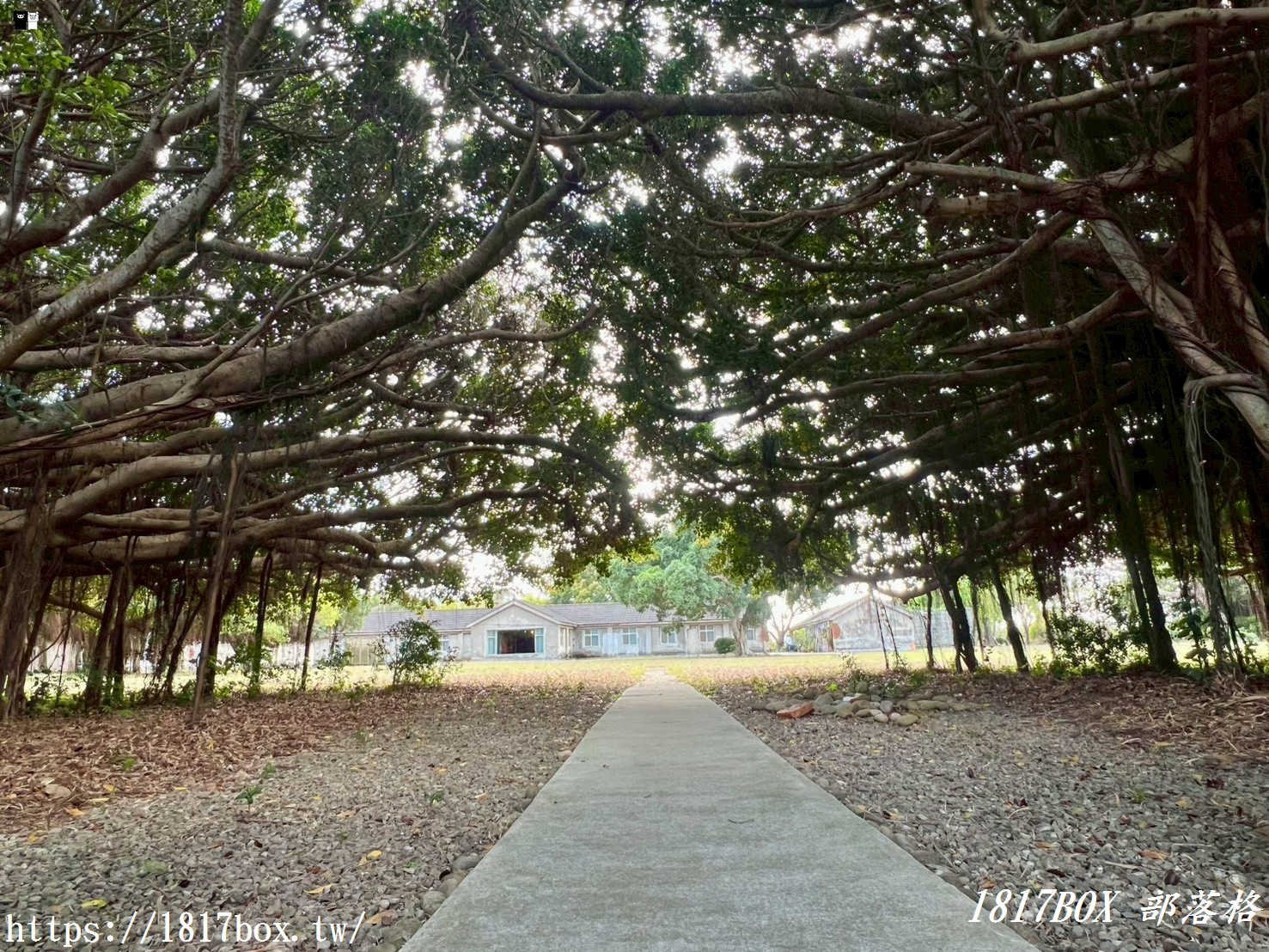 【台中清水景點】牛罵頭遺址文化園區：走進「地底下的時光機」！最新參觀攻略、絕美觀景台與親子必拍看點
