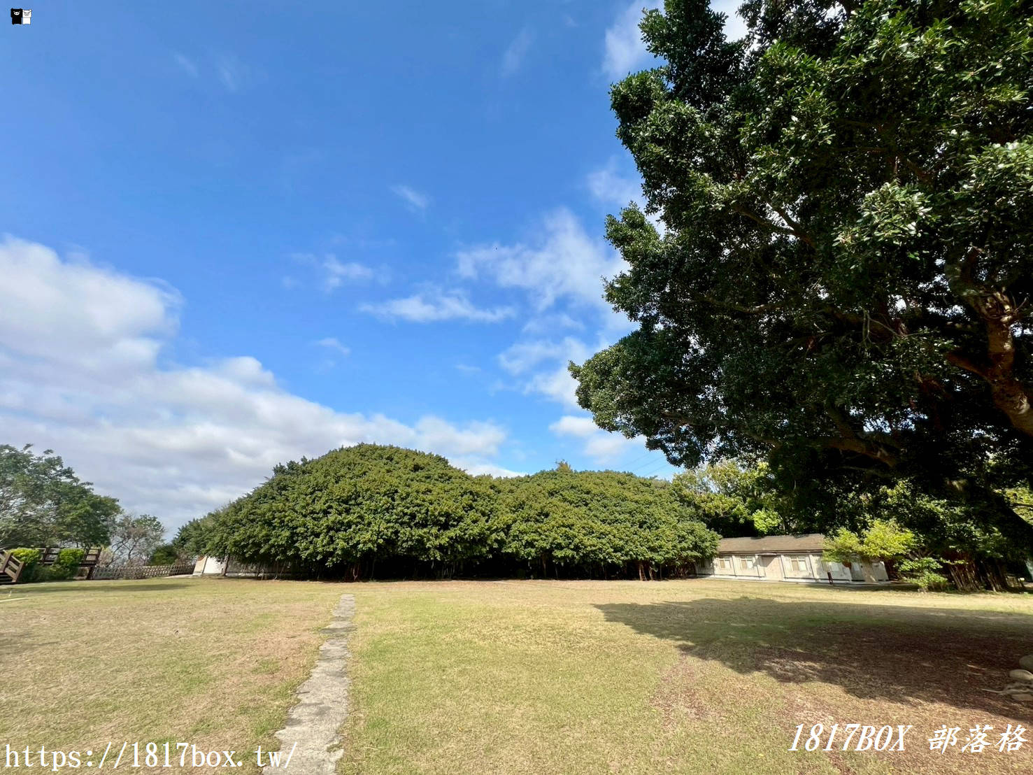 【台中清水景點】牛罵頭遺址文化園區：走進「地底下的時光機」！最新參觀攻略、絕美觀景台與親子必拍看點