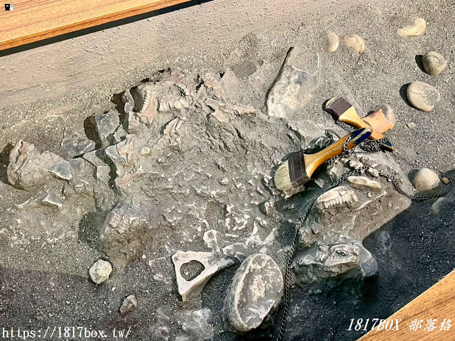 【台中清水景點】牛罵頭遺址文化園區：走進「地底下的時光機」！最新參觀攻略、絕美觀景台與親子必拍看點