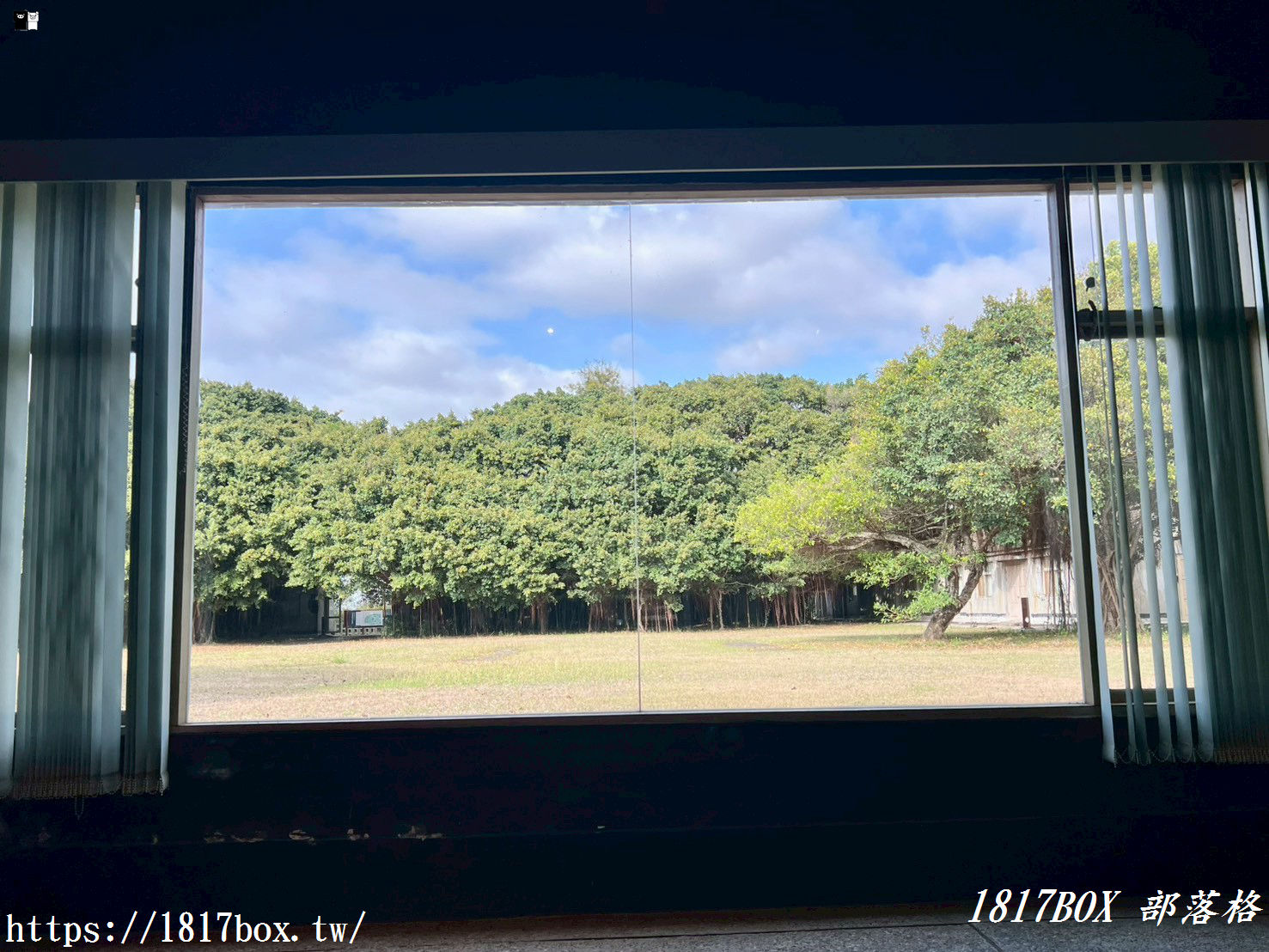 【台中清水景點】牛罵頭遺址文化園區：走進「地底下的時光機」！最新參觀攻略、絕美觀景台與親子必拍看點