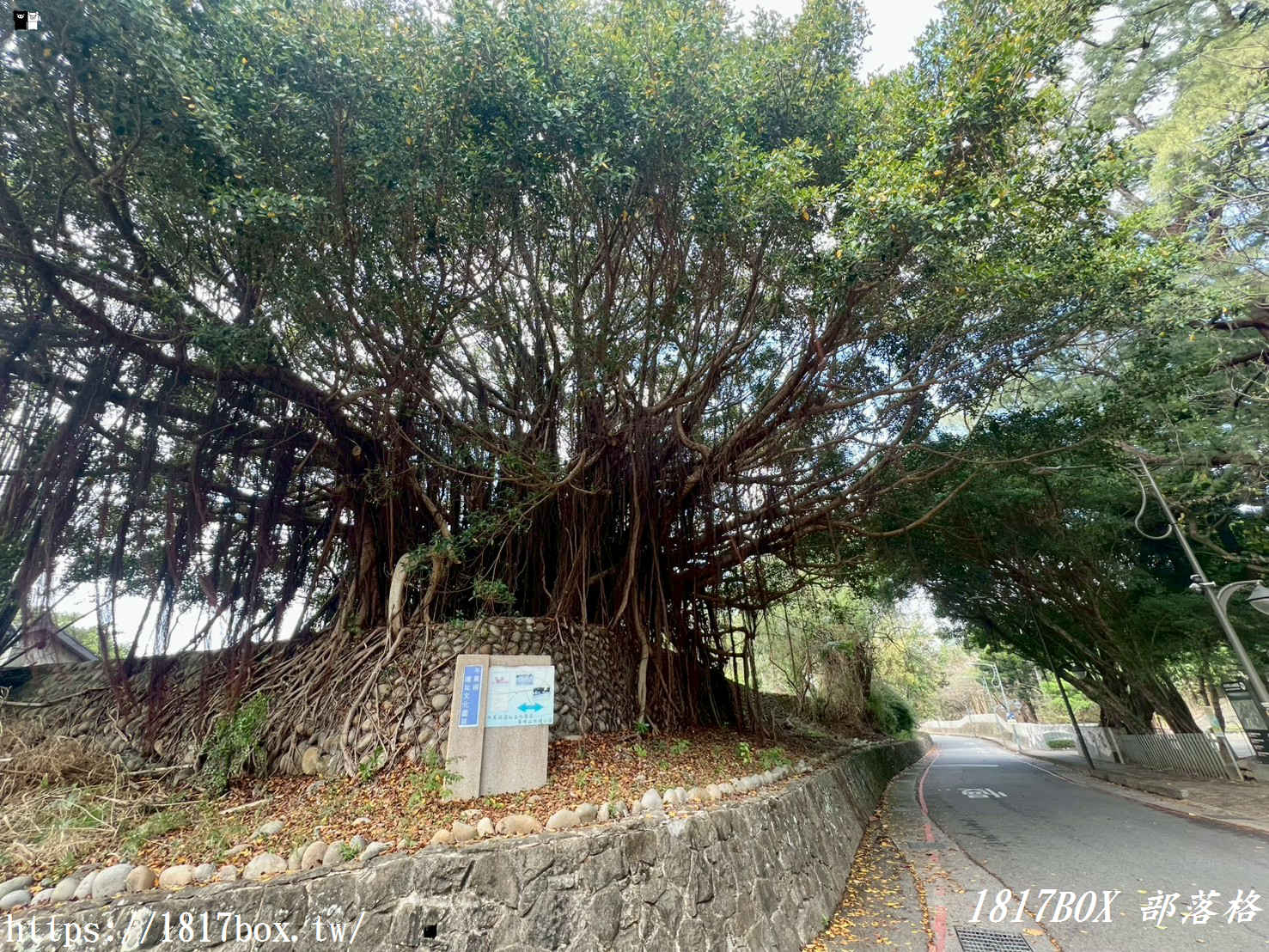 藏在台中的森林秘境！清水「親鳥公園」超Chill賞鳥步道，在地人不想說的假日放空去處