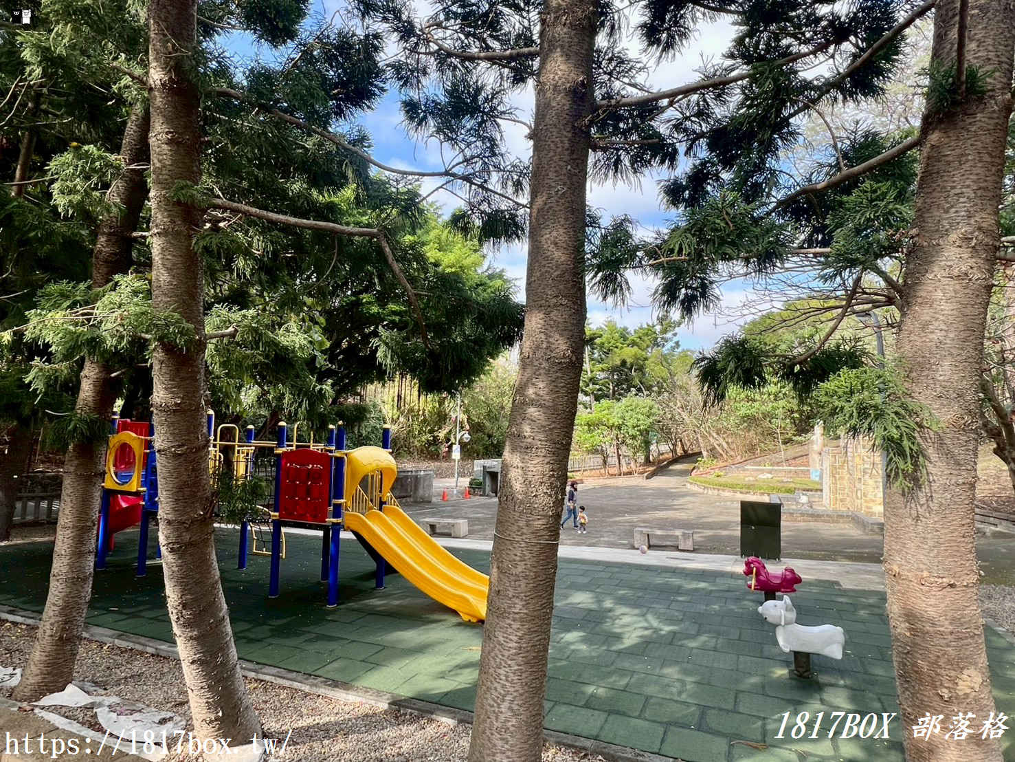 藏在台中的森林秘境！清水「親鳥公園」超Chill賞鳥步道，在地人不想說的假日放空去處