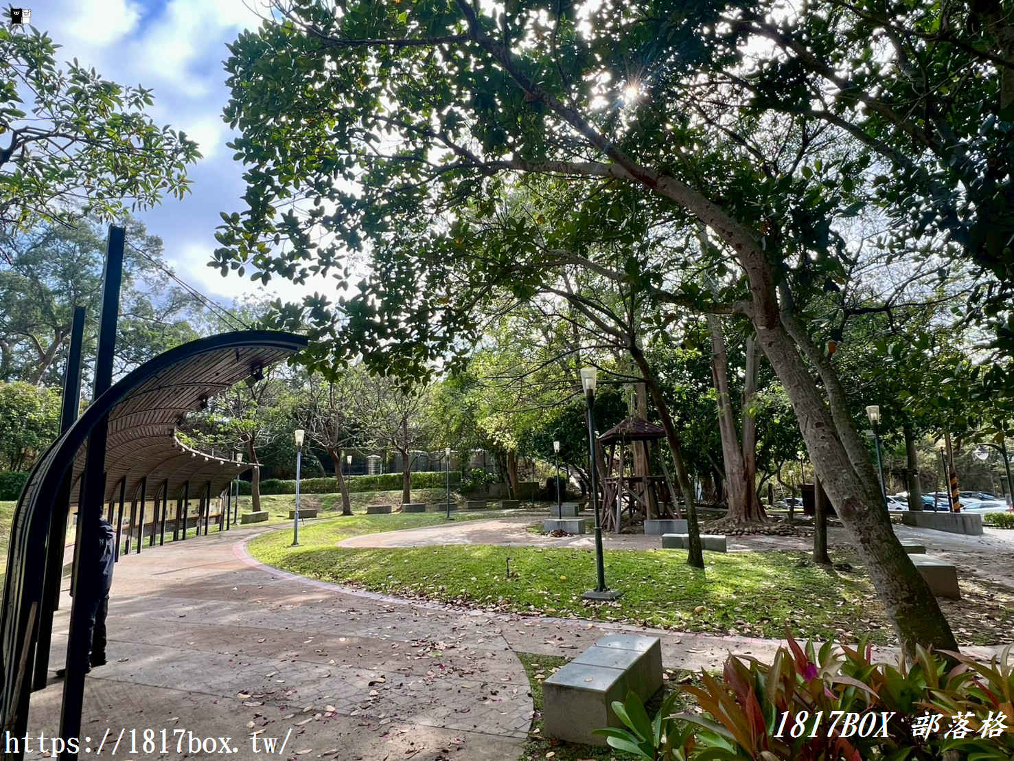 藏在台中的森林秘境！清水「親鳥公園」超Chill賞鳥步道，在地人不想說的假日放空去處