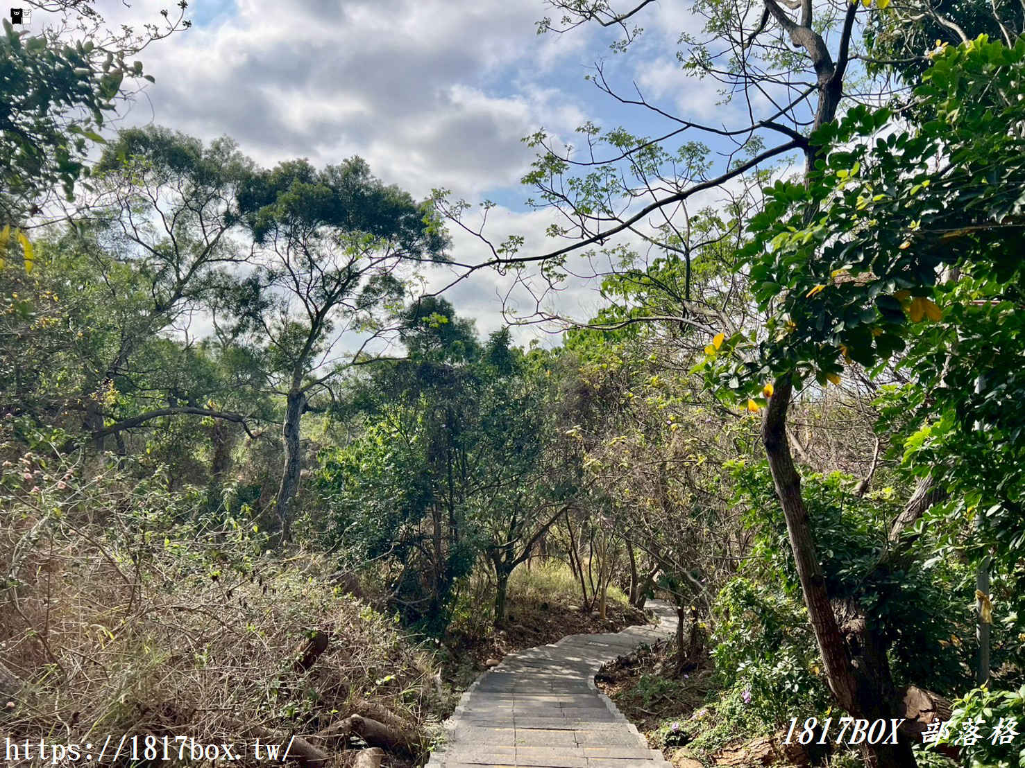 藏在台中的森林秘境！清水「親鳥公園」超Chill賞鳥步道，在地人不想說的假日放空去處