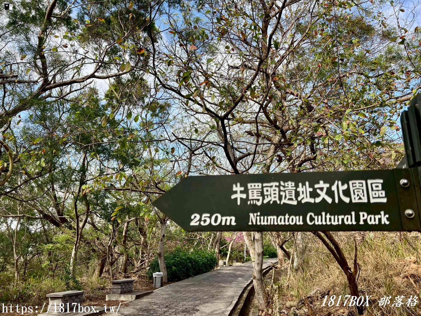 藏在台中的森林秘境！清水「親鳥公園」超Chill賞鳥步道，在地人不想說的假日放空去處