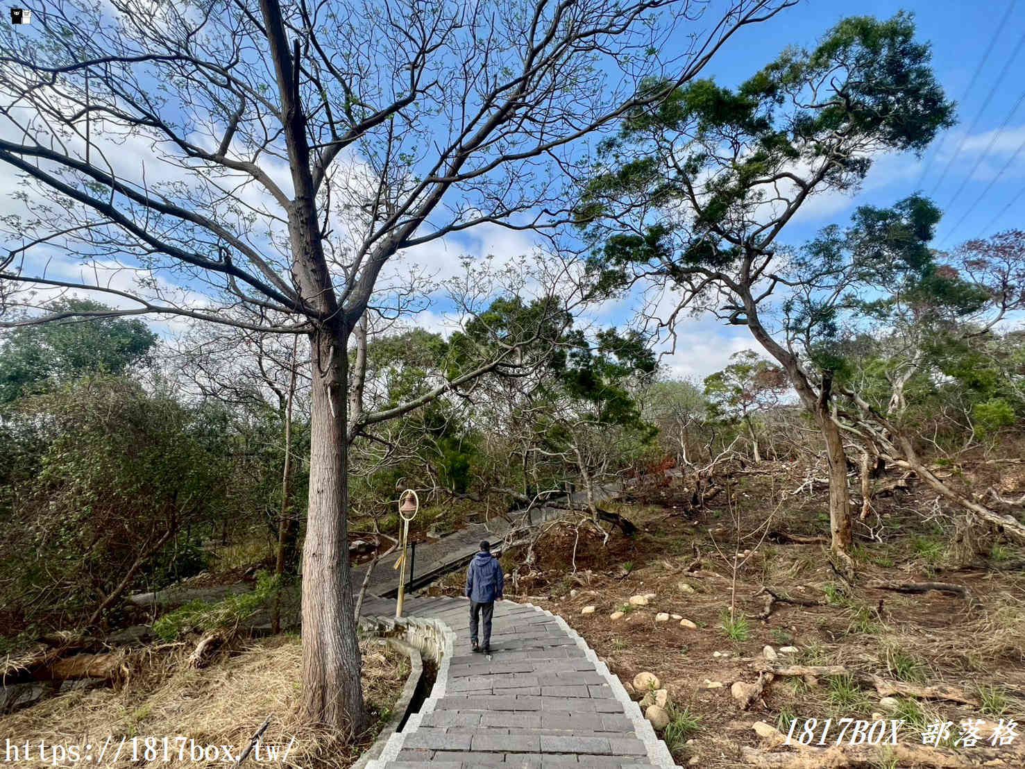 藏在台中的森林秘境！清水「親鳥公園」超Chill賞鳥步道，在地人不想說的假日放空去處
