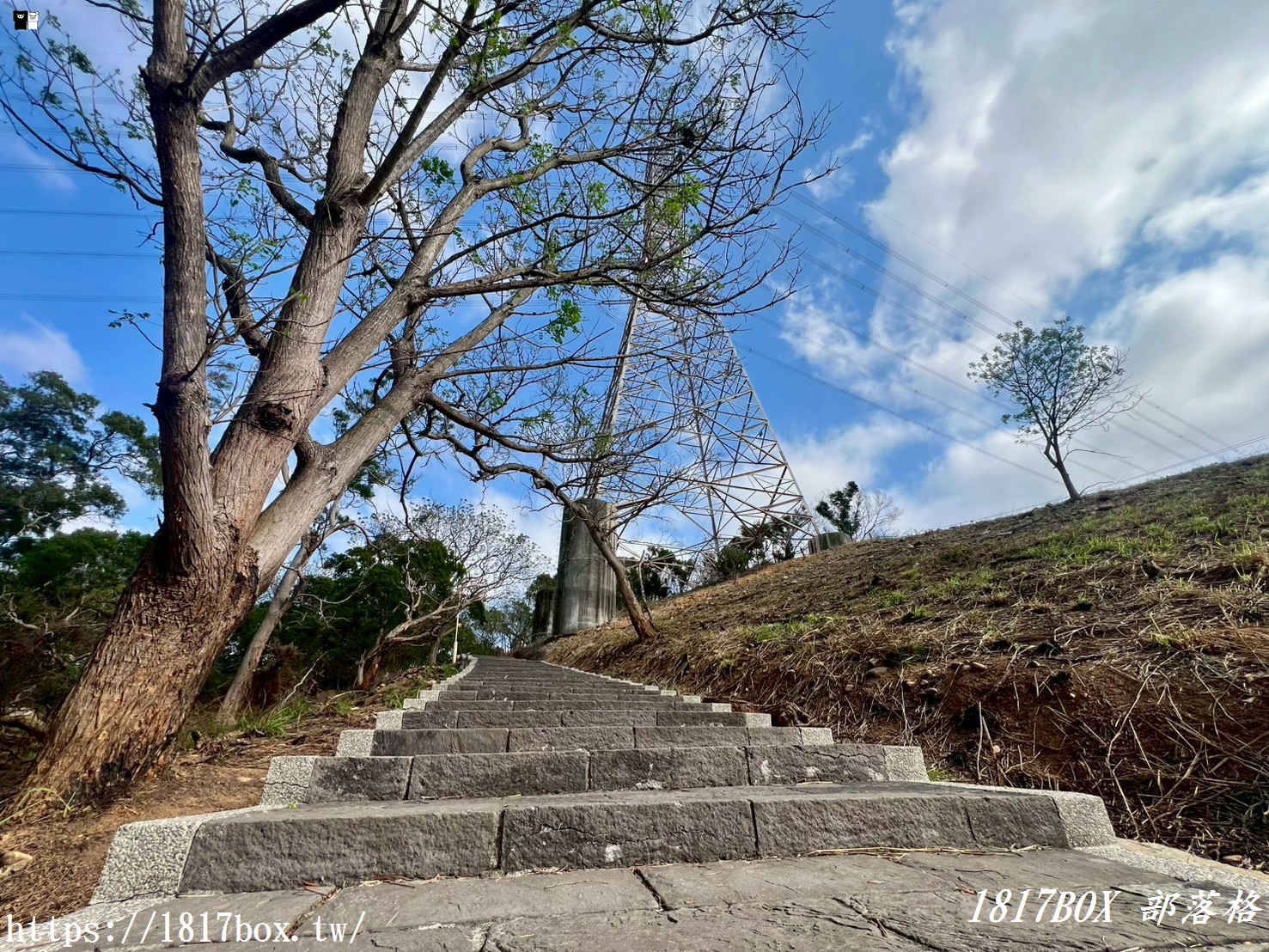 藏在台中的森林秘境！清水「親鳥公園」超Chill賞鳥步道，在地人不想說的假日放空去處