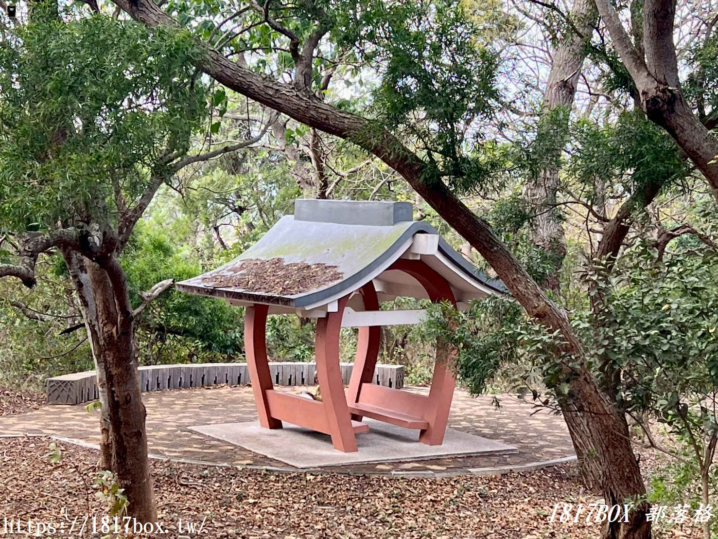 藏在台中的森林秘境！清水「親鳥公園」超Chill賞鳥步道，在地人不想說的假日放空去處
