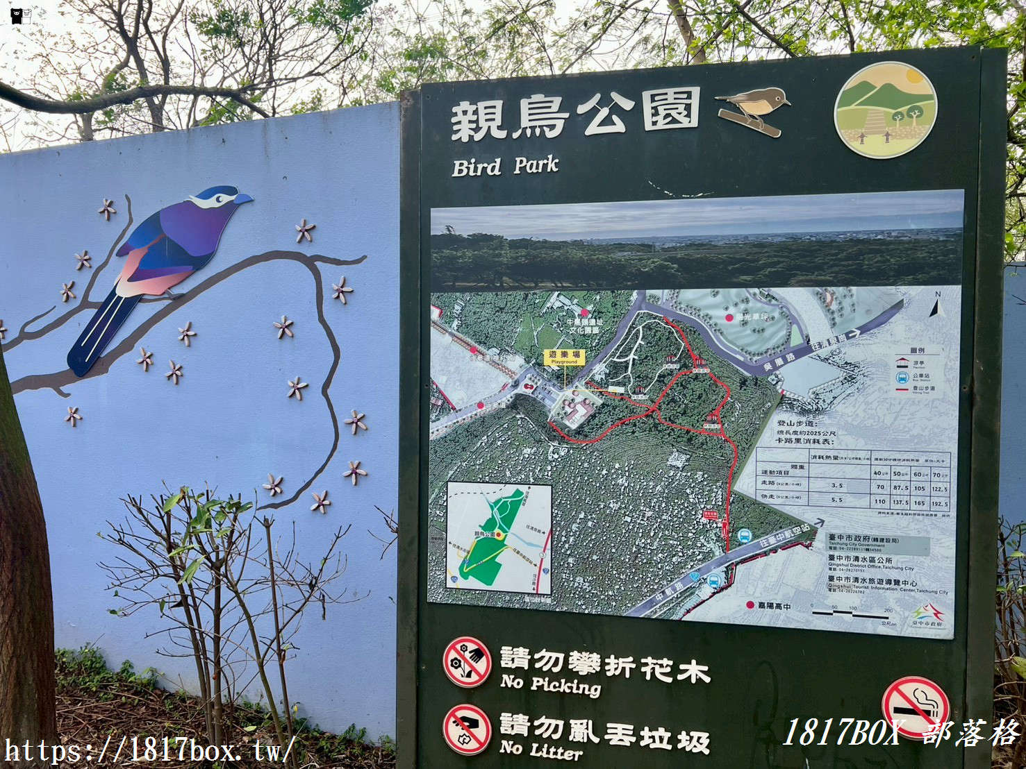 藏在台中的森林秘境！清水「親鳥公園」超Chill賞鳥步道，在地人不想說的假日放空去處