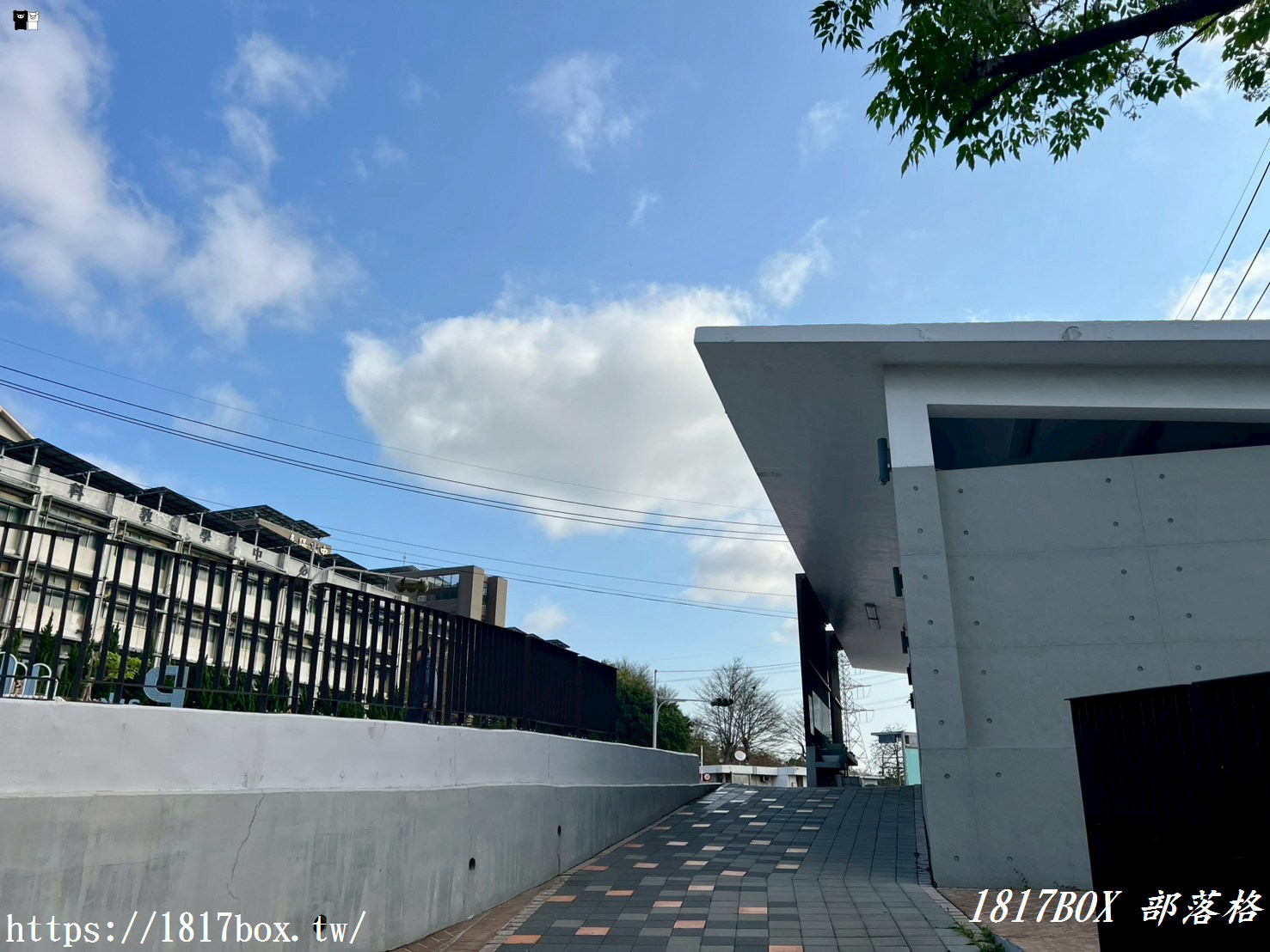 藏在台中的森林秘境！清水「親鳥公園」超Chill賞鳥步道，在地人不想說的假日放空去處