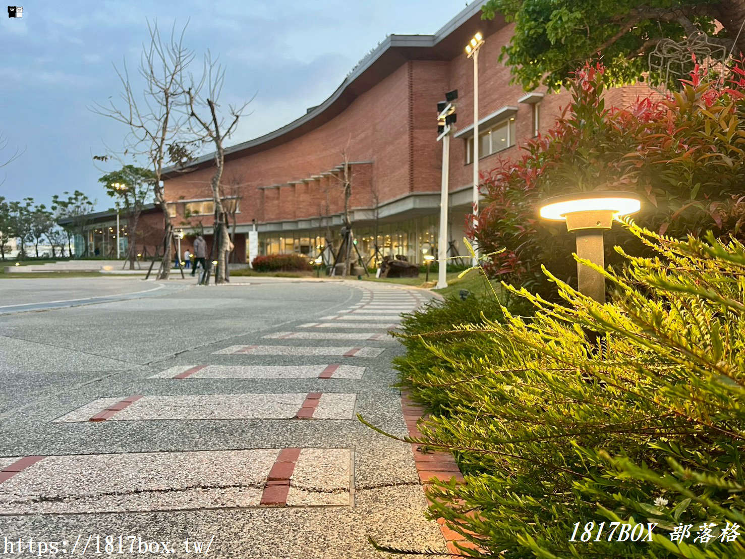 雲林隱藏版夜景！「麥寮社教園區」夜晚華麗變身，宛如漫步在光影森林的浪漫時光