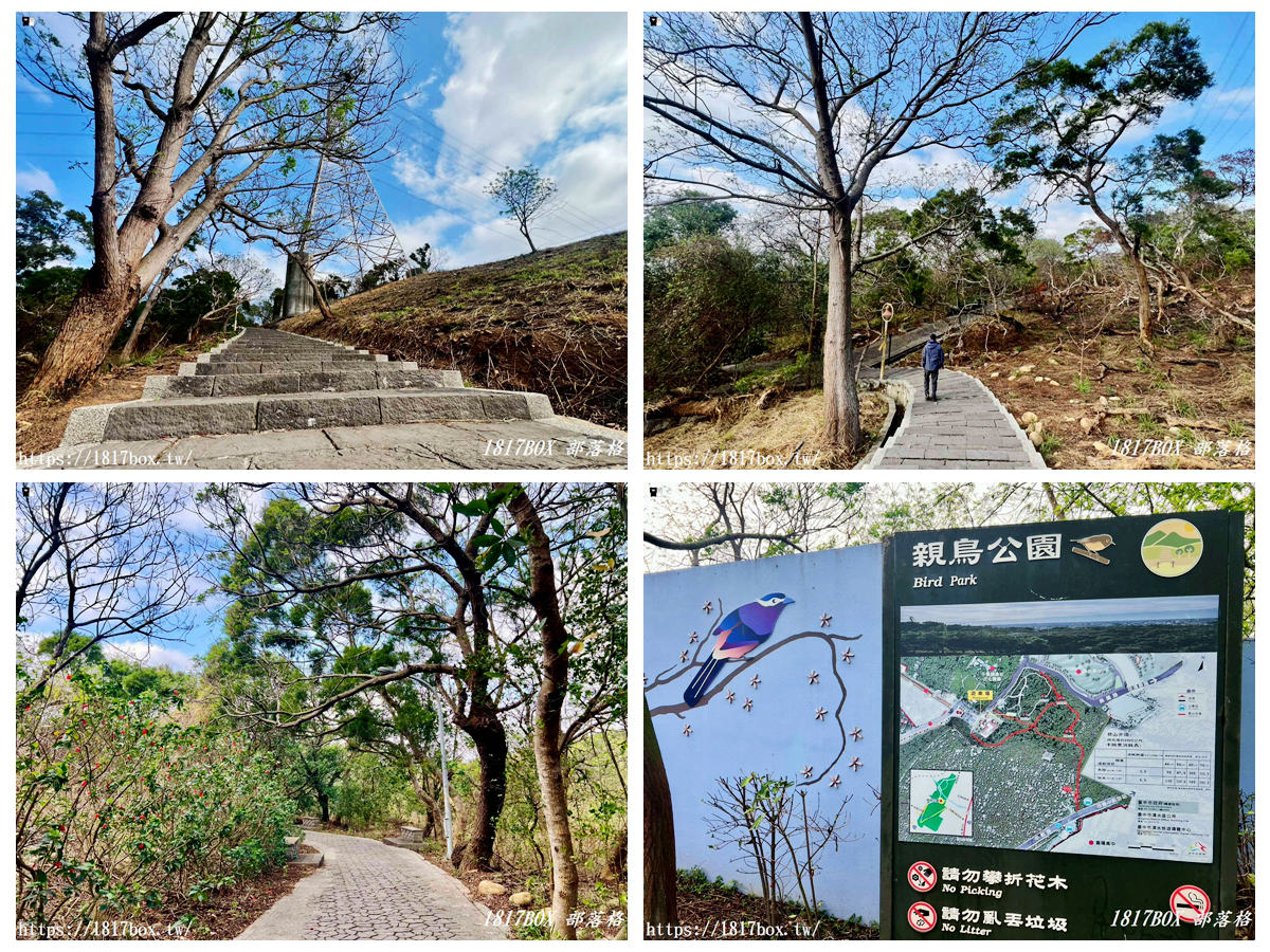 網站近期文章：藏在台中的森林秘境！清水「親鳥公園」超Chill賞鳥步道，在地人不想說的假日放空去處