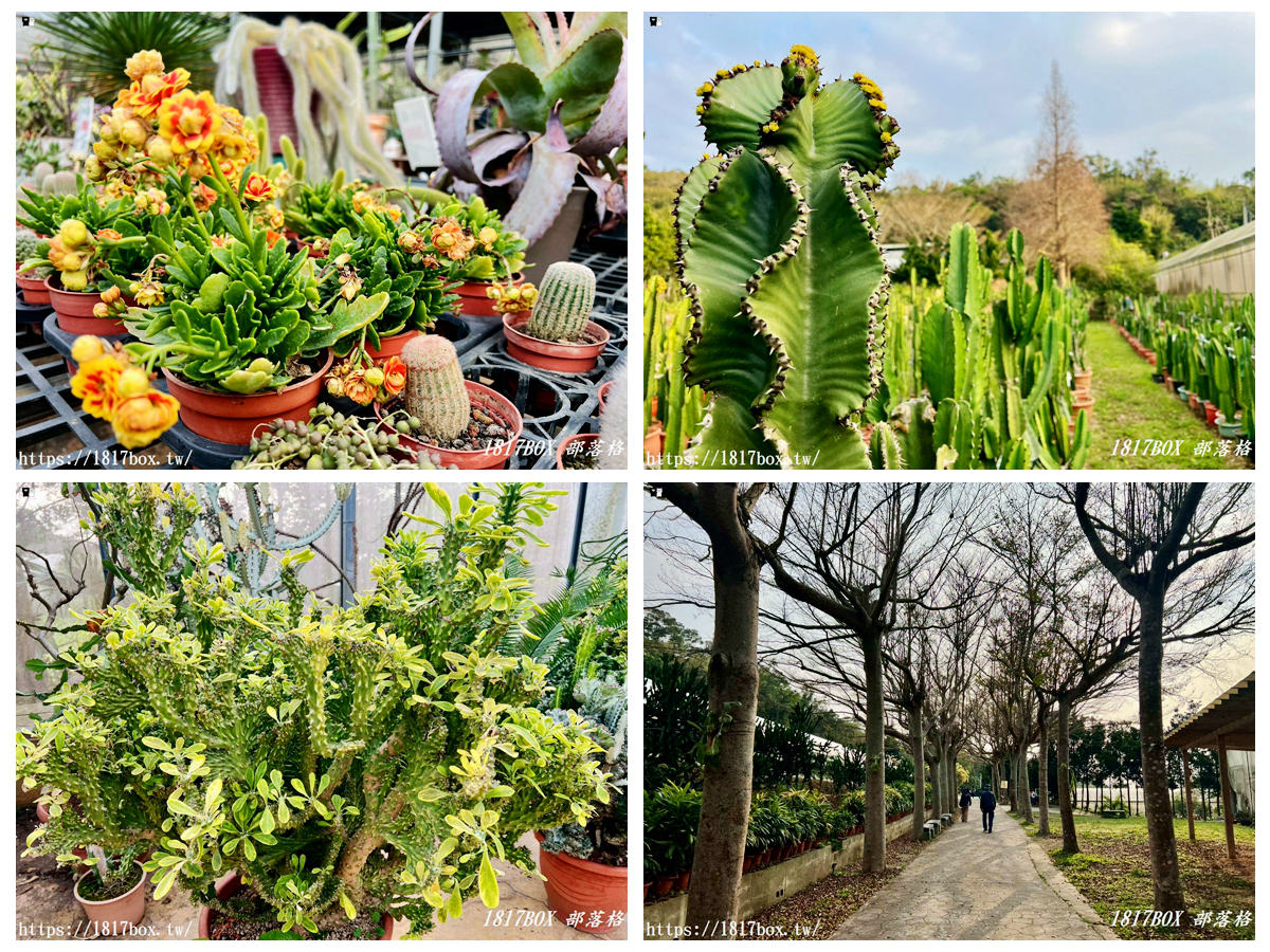 網站近期文章：【新竹景點】福祥仙人掌園藝中心：免門票！走進 8,000 種多肉植物的沙漠奇境，親子 DIY 與網美必拍攻略