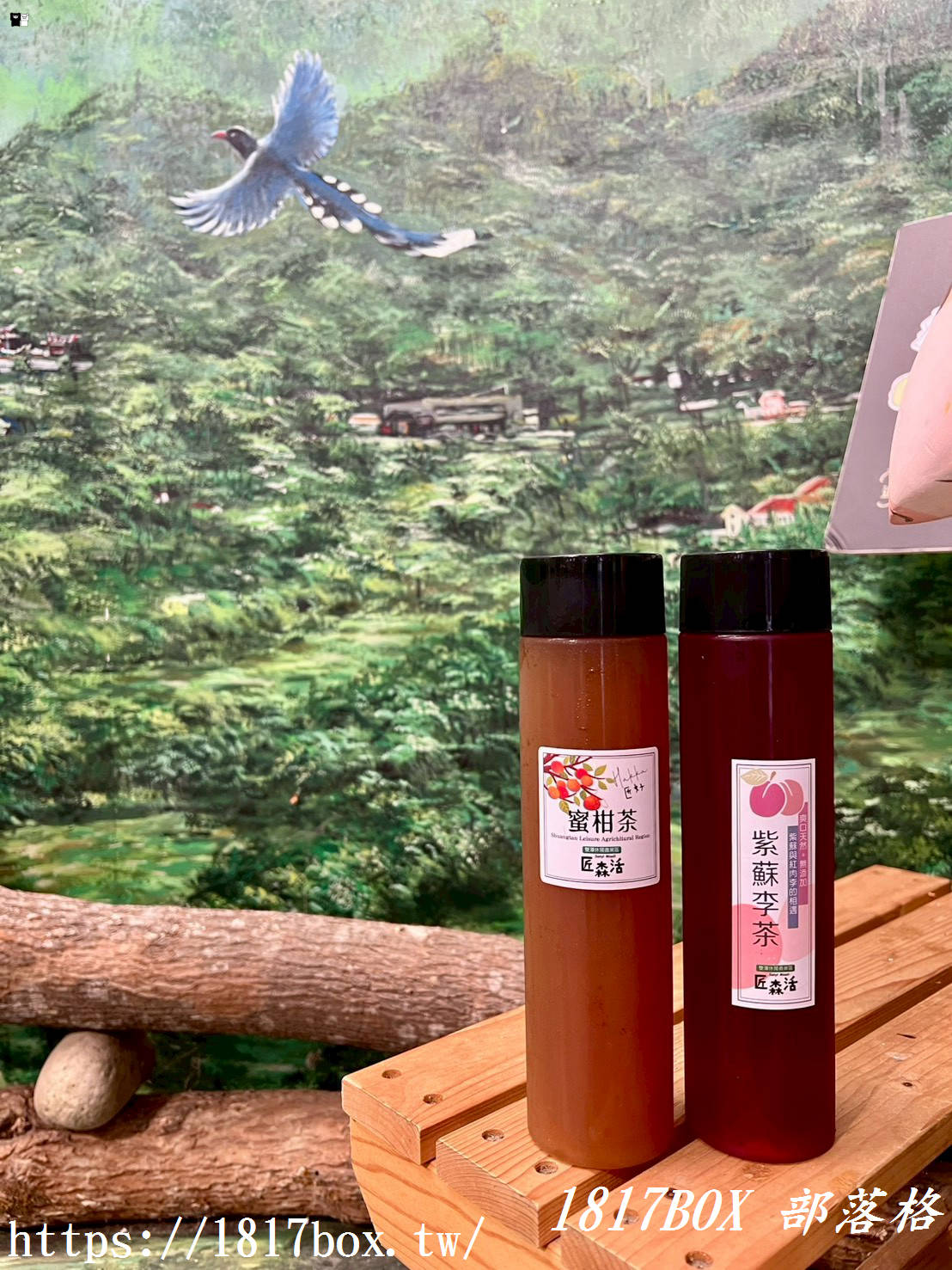 【三義私藏景點】慢遊雙潭休閒農業區，品味匠心「蜜柑茶」與「紫蘇李茶」，帶走最純粹的在地農特產！