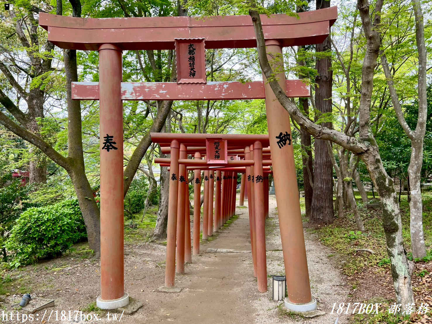 【福岡景點】寶滿宮竈門神社：不只是《鬼滅之刃》聖地！全日本最美御守、超強結緣求好運全攻略