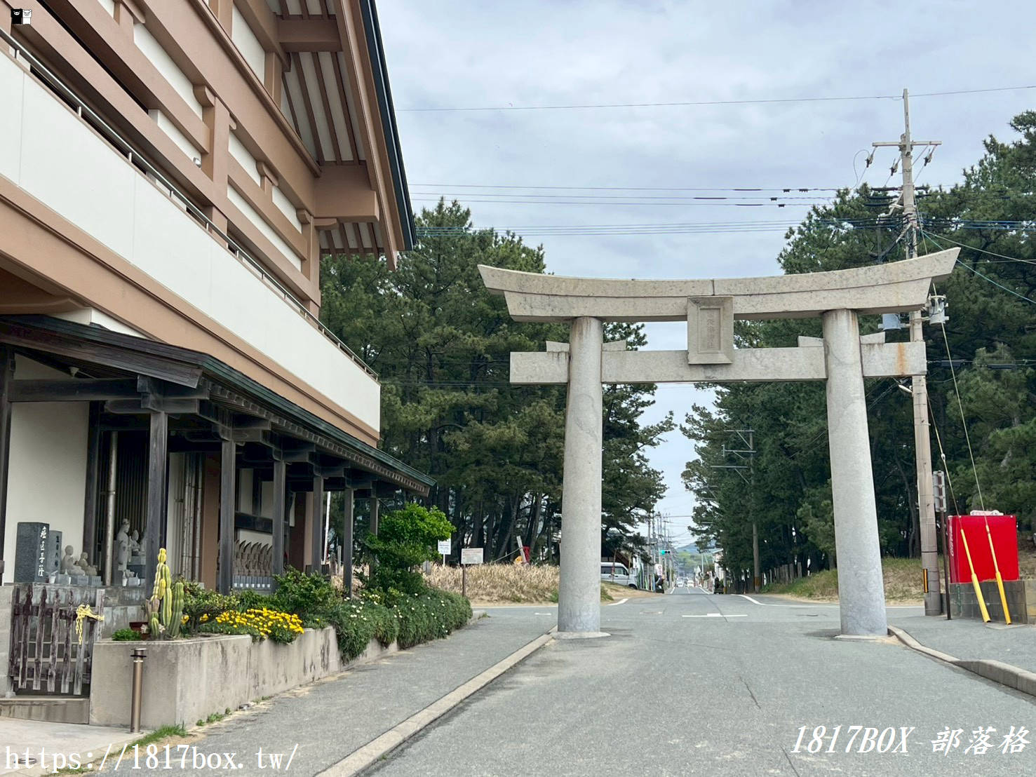 福岡自由行｜宮地嶽神社「鏡之海」絕景攻略：尋訪宮地浜海中鳥居與百年狛犬