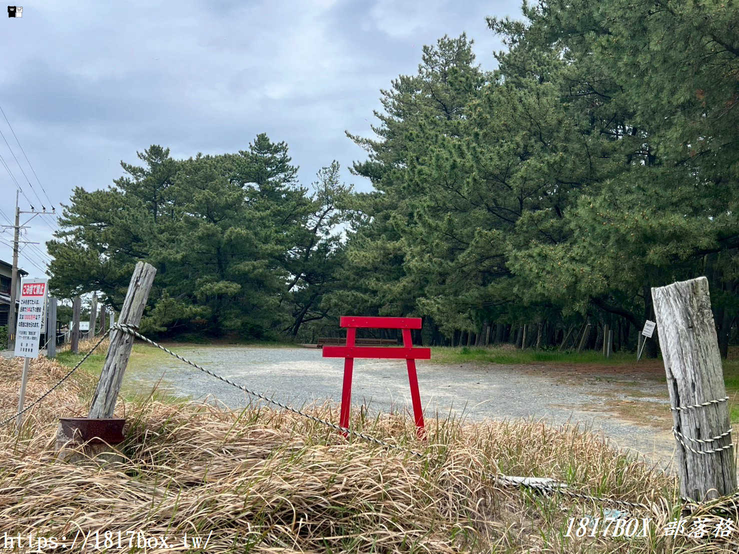 福岡自由行｜宮地嶽神社「鏡之海」絕景攻略：尋訪宮地浜海中鳥居與百年狛犬
