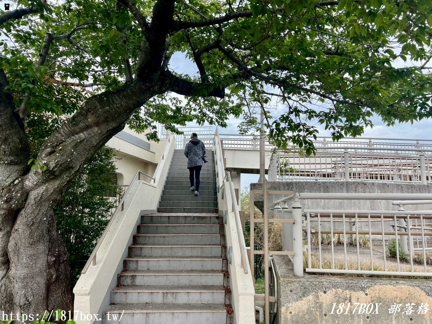 【北九州私房景點】高塔山展望台：在地人帶路！絕美若戶大橋紅色夜景、繡球花海全攻略