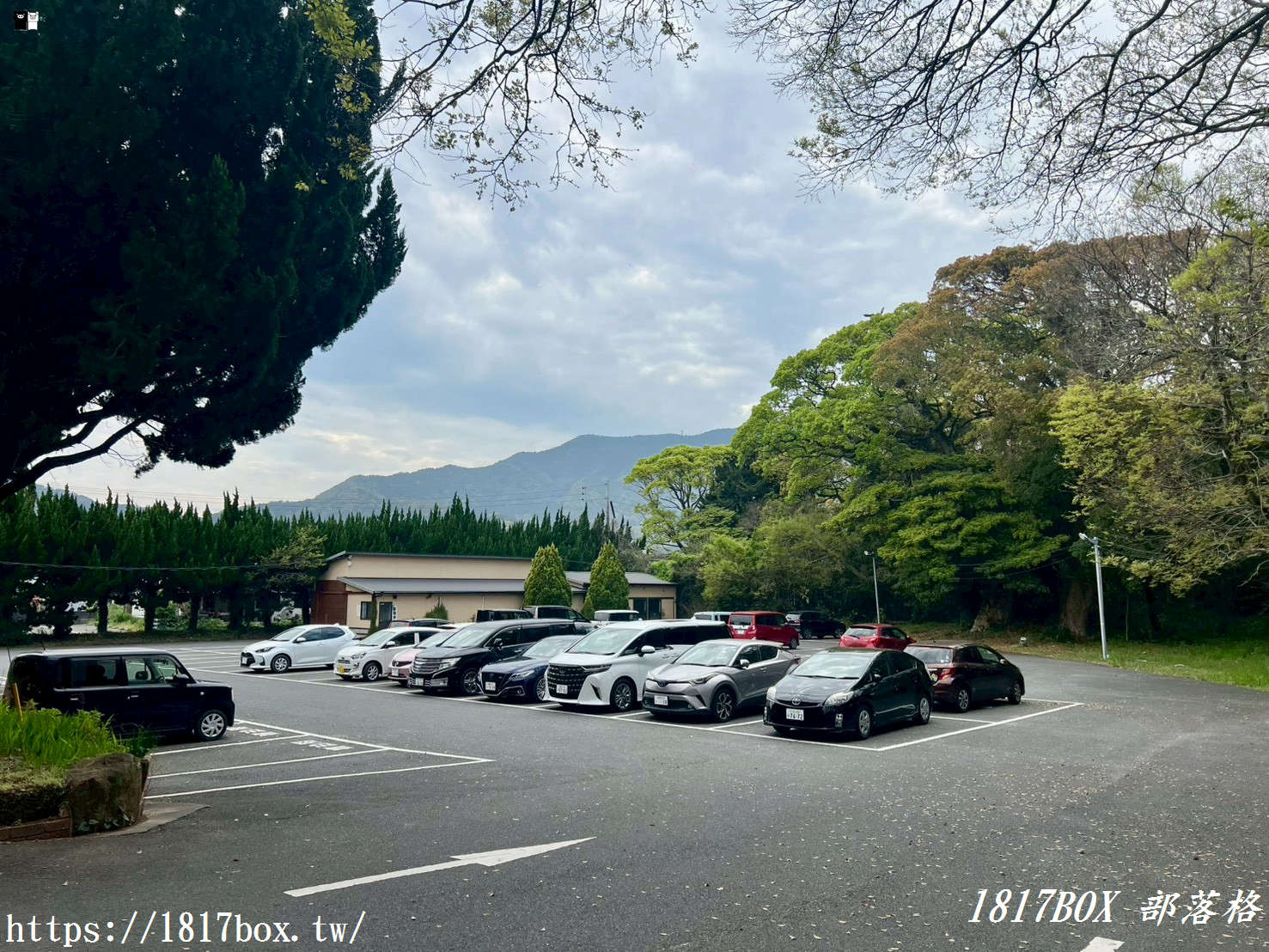 福岡自由行隱藏景點！開箱「ぶどうの樹 岡垣本店」：大推森林系葡萄麵包與超濃郁葡萄冰淇淋！