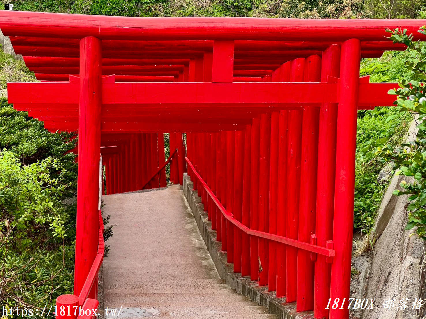 雨落鳥居的赤紅絕景｜山口縣元乃隅神社雨天參拜指南、御守與御朱印分享