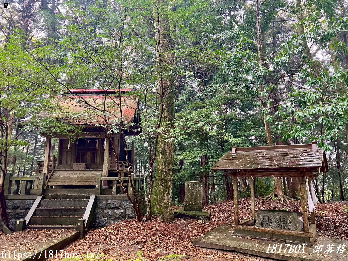 煙雨迷濛的隱藏秘境!福岡「崎山八幡神社」:雨天限定的鄉村水墨畫,與平成筑豐鐵道的浪漫邂逅 煙雨迷濛的隱藏秘境!福岡「崎山八幡神社」:雨天限定的鄉村水墨畫,與平成筑豐鐵道的浪漫邂逅