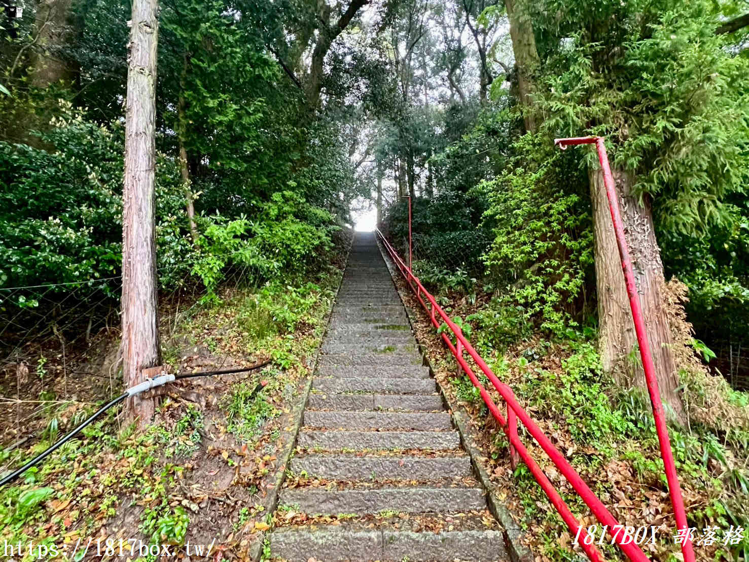 煙雨迷濛的隱藏秘境!福岡「崎山八幡神社」:雨天限定的鄉村水墨畫,與平成筑豐鐵道的浪漫邂逅 煙雨迷濛的隱藏秘境!福岡「崎山八幡神社」:雨天限定的鄉村水墨畫,與平成筑豐鐵道的浪漫邂逅