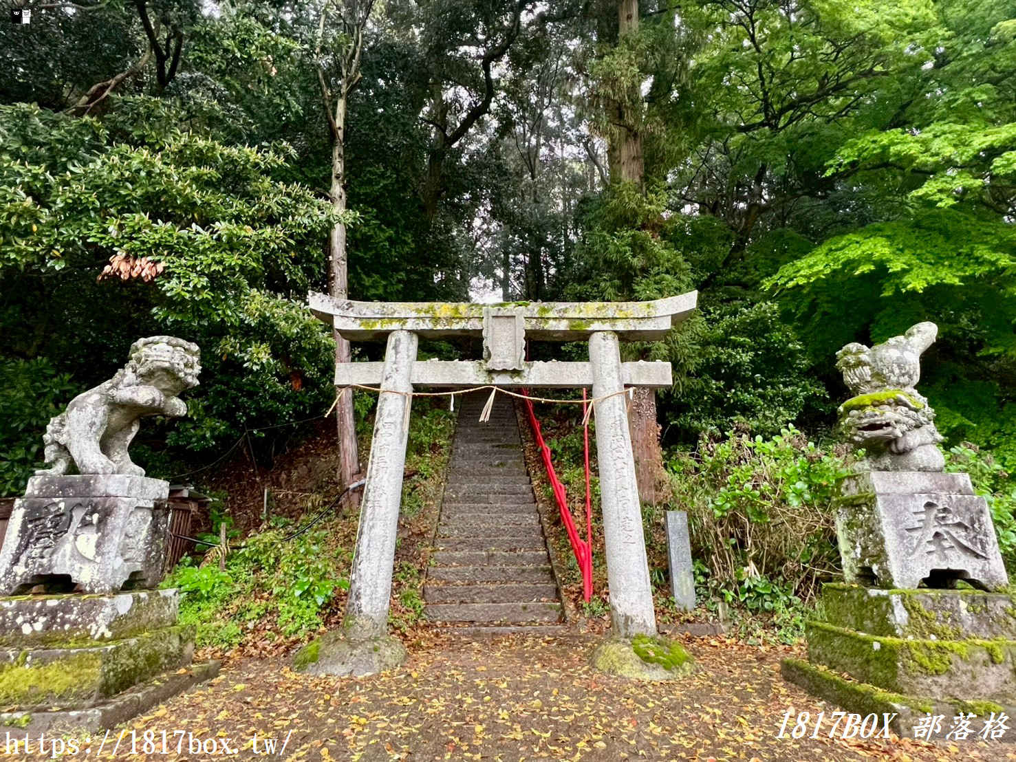 煙雨迷濛的隱藏秘境!福岡「崎山八幡神社」:雨天限定的鄉村水墨畫,與平成筑豐鐵道的浪漫邂逅 煙雨迷濛的隱藏秘境!福岡「崎山八幡神社」:雨天限定的鄉村水墨畫,與平成筑豐鐵道的浪漫邂逅