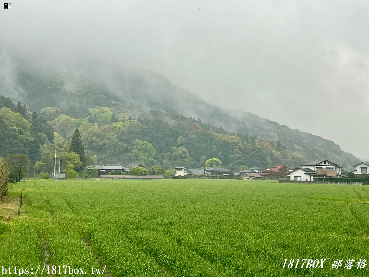 煙雨迷濛的隱藏秘境!福岡「崎山八幡神社」:雨天限定的鄉村水墨畫,與平成筑豐鐵道的浪漫邂逅 煙雨迷濛的隱藏秘境!福岡「崎山八幡神社」:雨天限定的鄉村水墨畫,與平成筑豐鐵道的浪漫邂逅