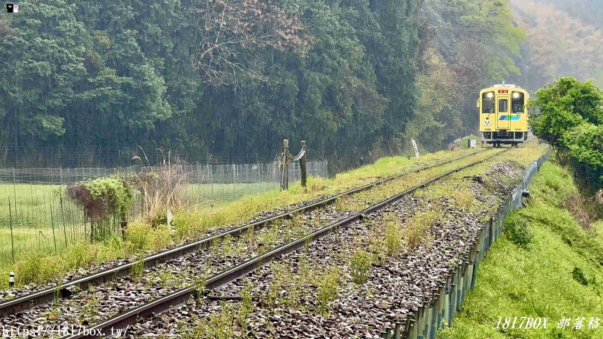 煙雨迷濛的隱藏秘境!福岡「崎山八幡神社」:雨天限定的鄉村水墨畫,與平成筑豐鐵道的浪漫邂逅 煙雨迷濛的隱藏秘境!福岡「崎山八幡神社」:雨天限定的鄉村水墨畫,與平成筑豐鐵道的浪漫邂逅