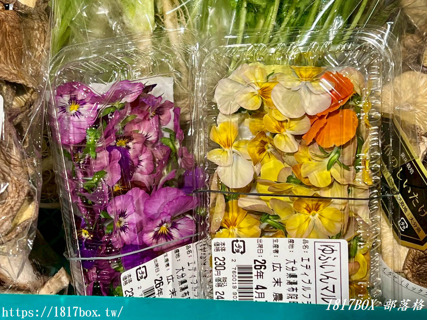 【大分別府超市】MaxValu 別府店 24小時營業！必買大分伴手禮、半價熟食、免稅退稅全指南