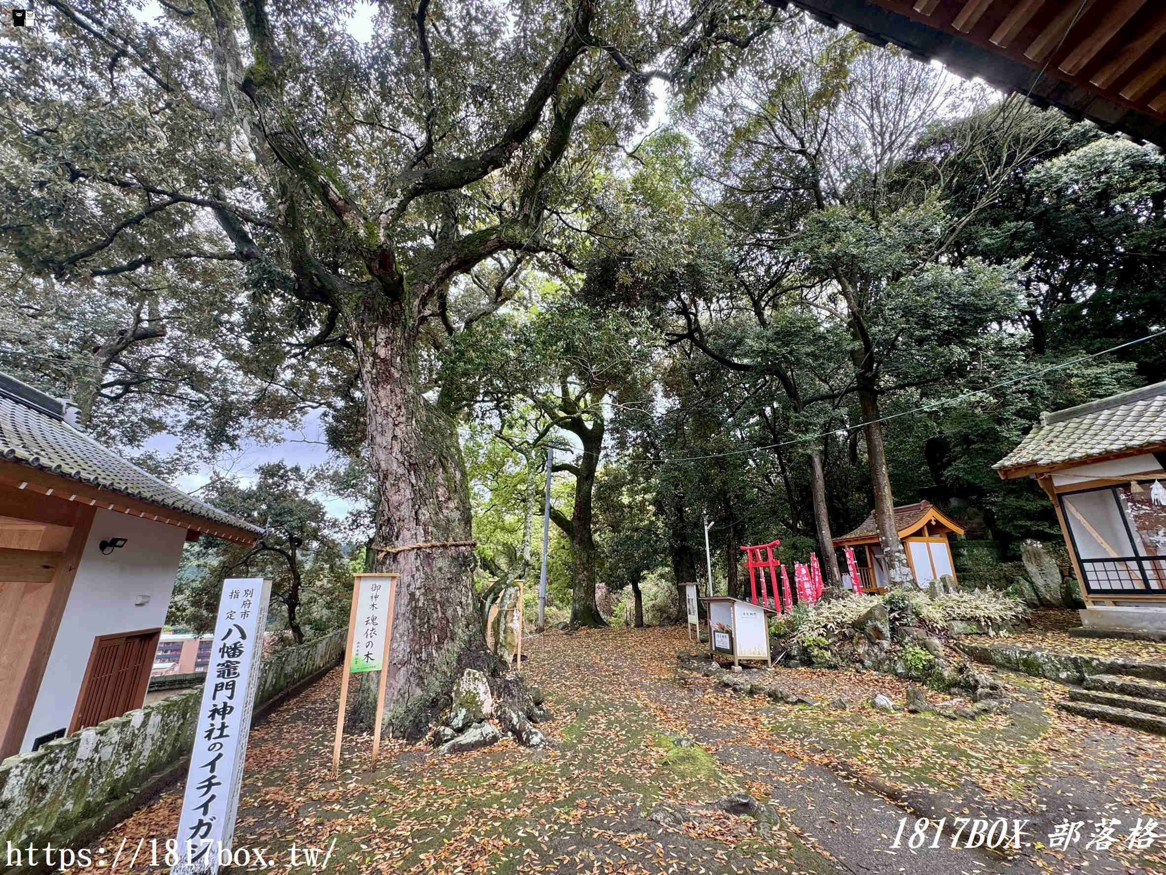 【大分別府】鬼滅之迷必訪「八幡竈門神社」朝聖指南：巨石傳說、限定「金龍系列」御朱印與御守開箱全攻略