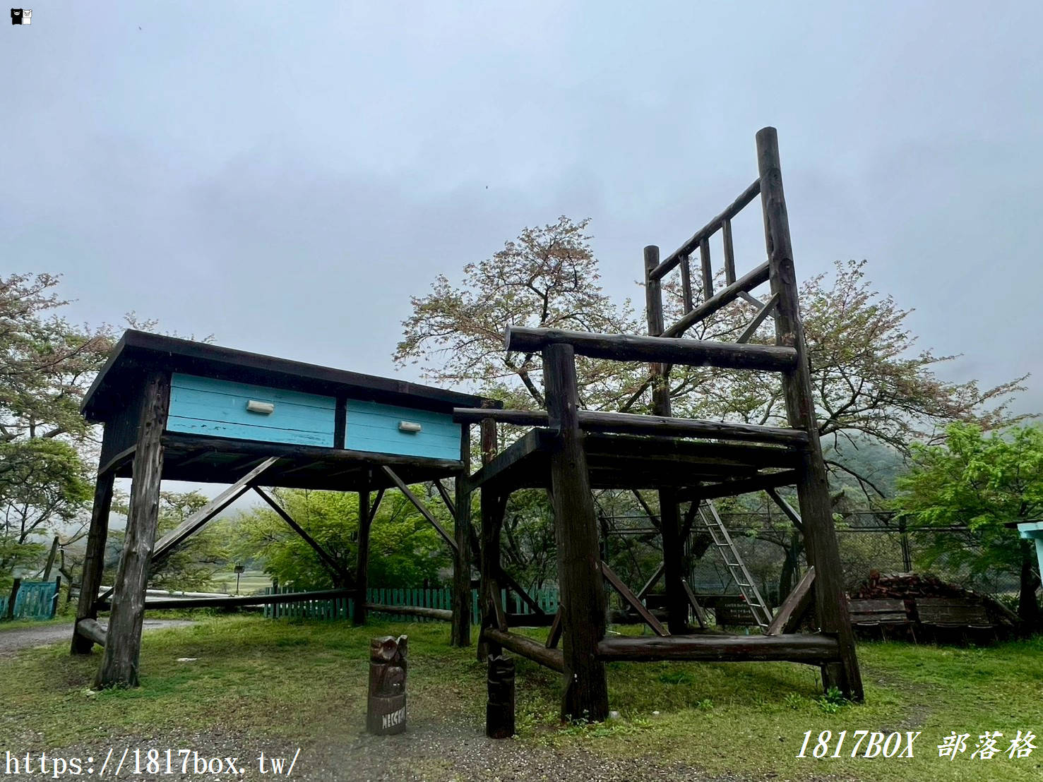 【福岡網美秘境】走進大人國！紅葉學舍「Big Chair and Desk」巨型桌椅，帶你重溫童年視角！