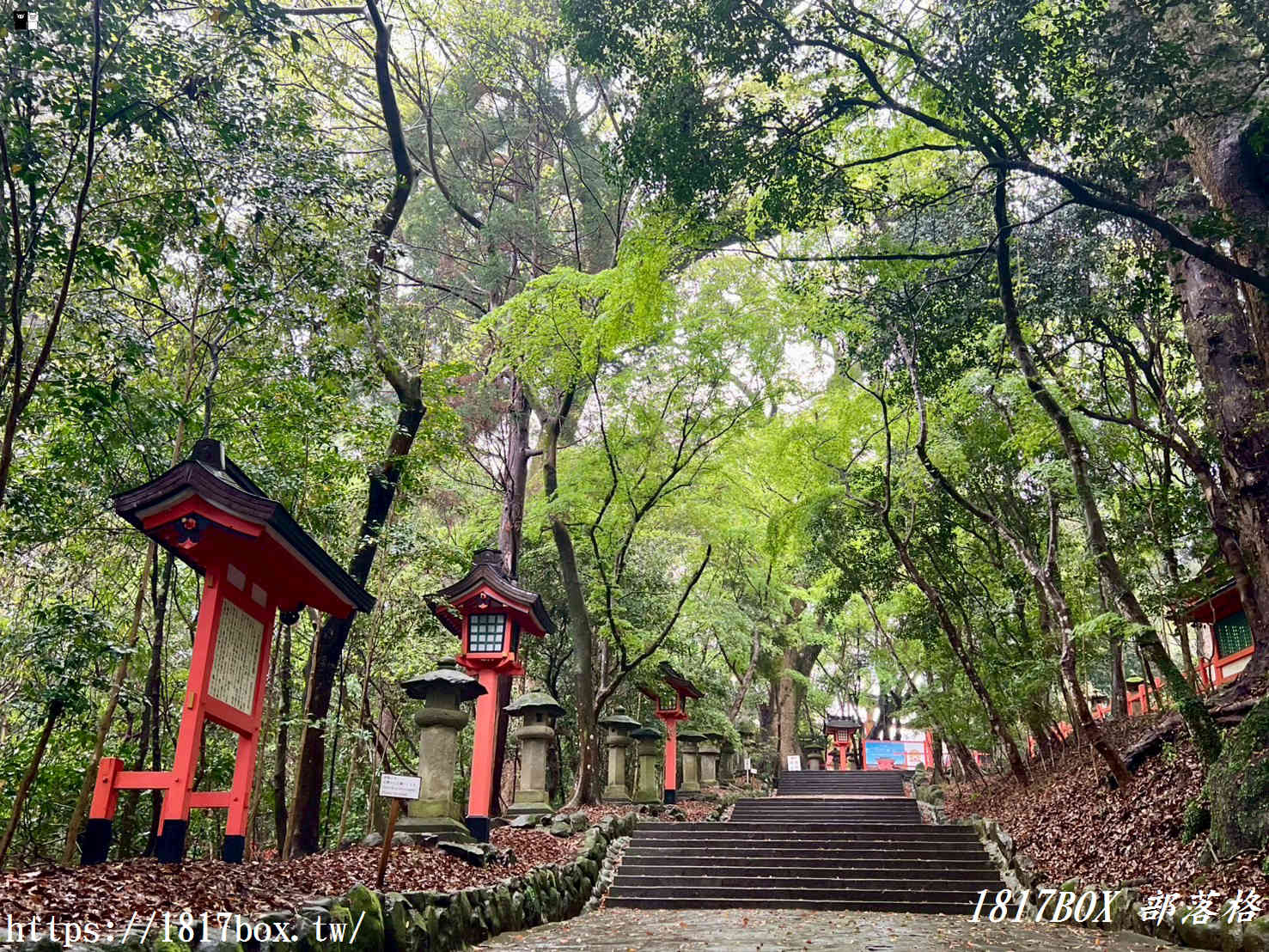宇佐神宮雨天散策：大分宇佐神宮參拜指南與限定御守、御朱印開箱