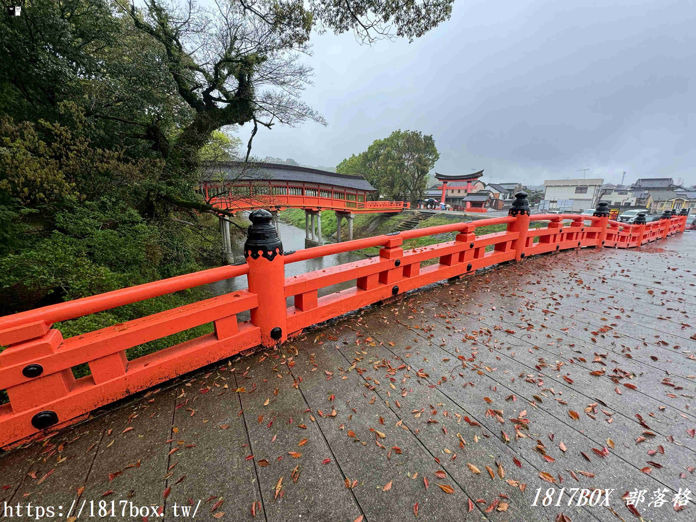 宇佐神宮隱藏版絕景！西參道鳥居與夢幻「吳橋」：走入大分宇佐的時光隧道