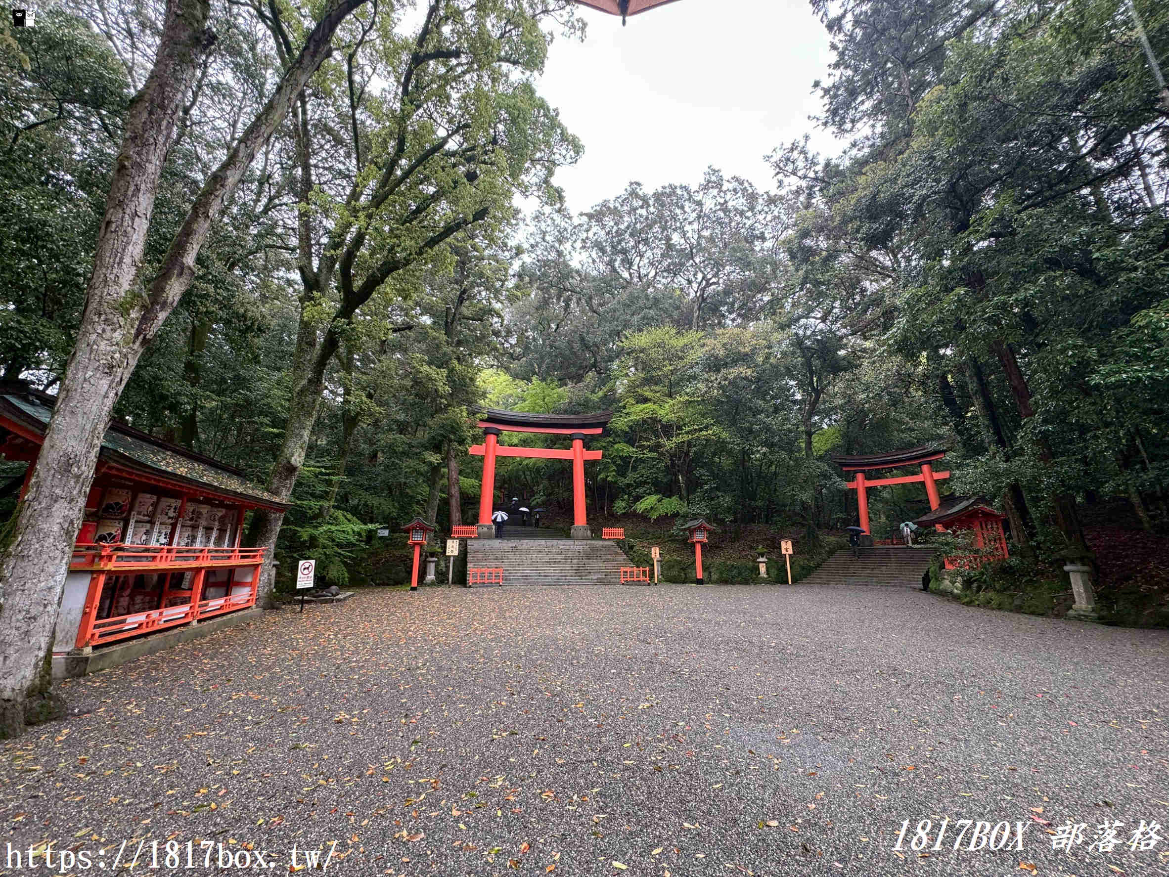 宇佐神宮隱藏版絕景！西參道鳥居與夢幻「吳橋」：走入大分宇佐的時光隧道