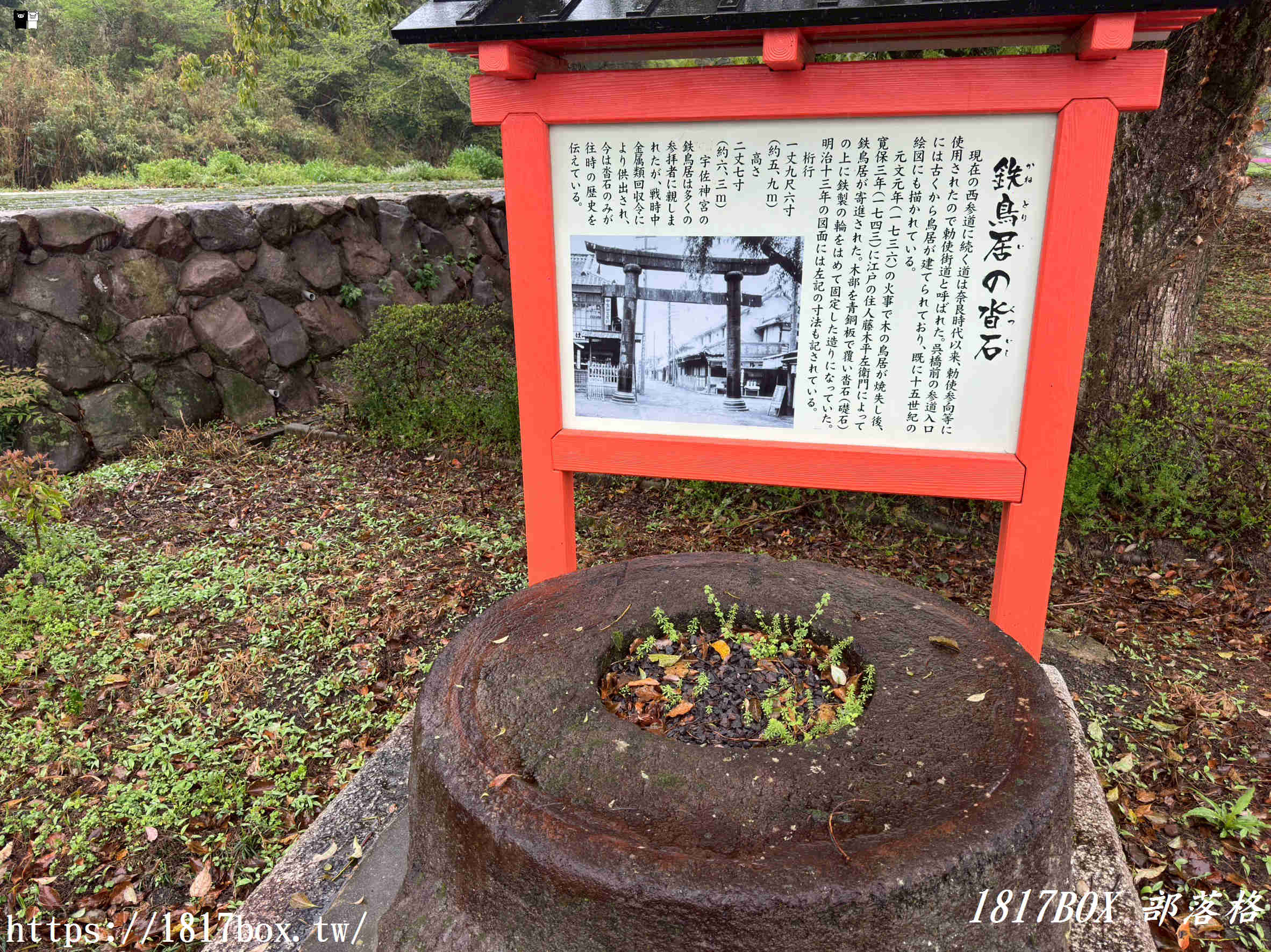 宇佐神宮隱藏版絕景！西參道鳥居與夢幻「吳橋」：走入大分宇佐的時光隧道