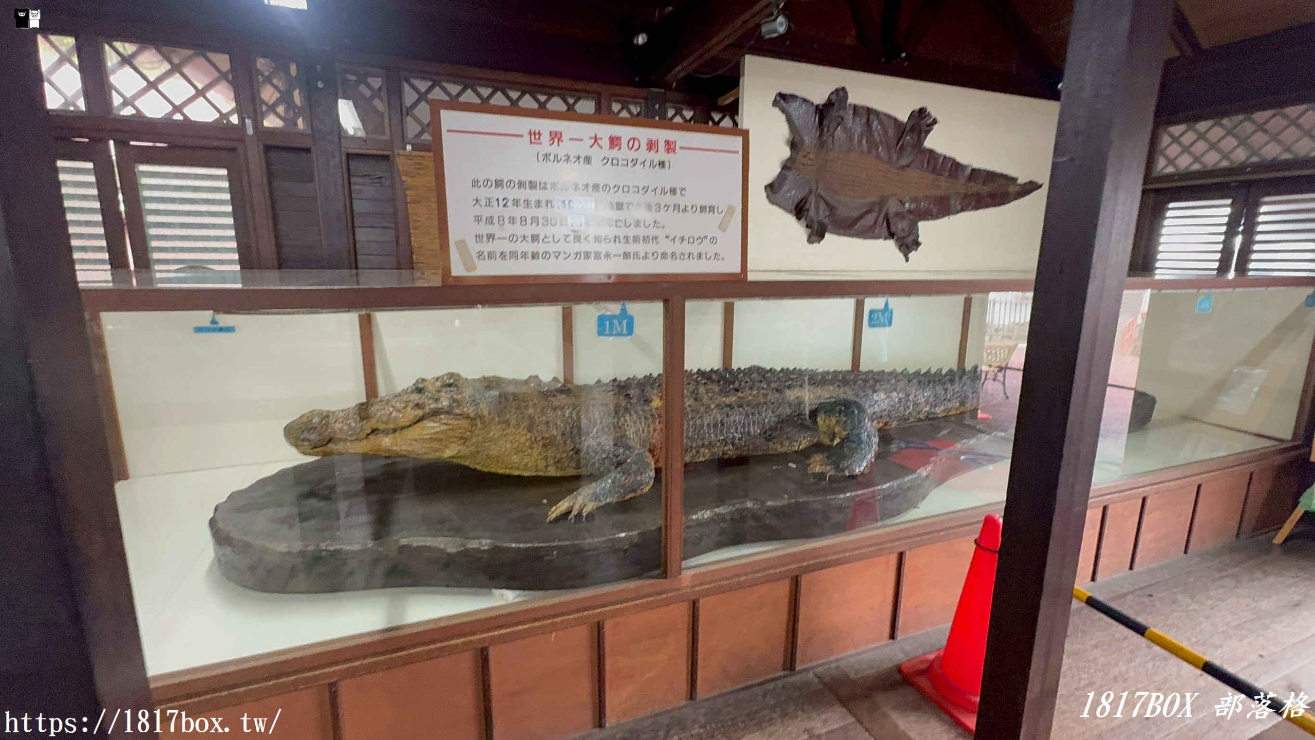 【九州別府景點】鬼山地獄超震撼！活生生「鱷魚地獄」開箱：必看巨獸餵食秀、門票交通、一日遊攻略