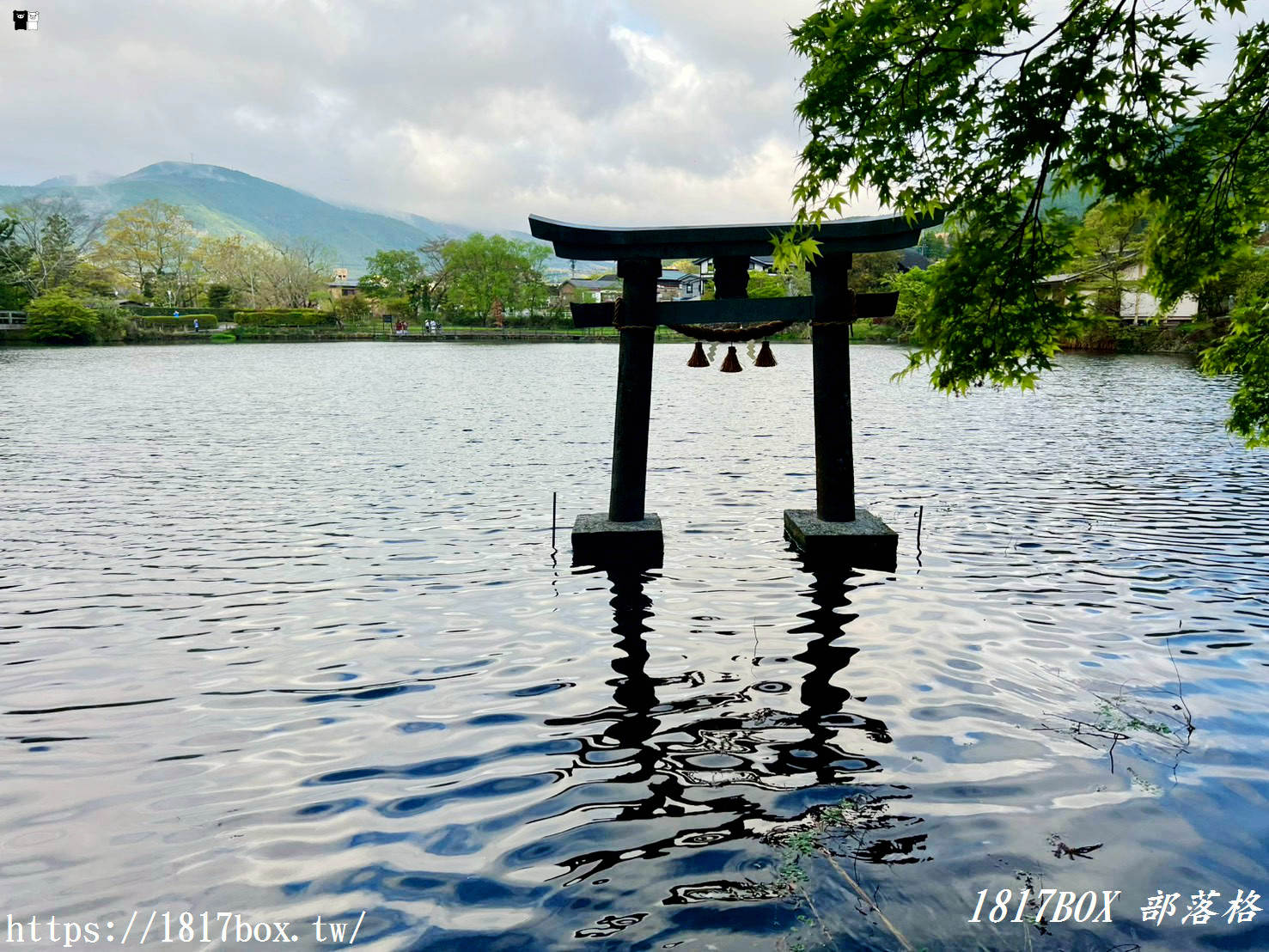 【由布院必訪秘境】金鱗湖天祖神社：水上鳥居如仙境！交通、隱藏拍照點與神話傳說全攻略