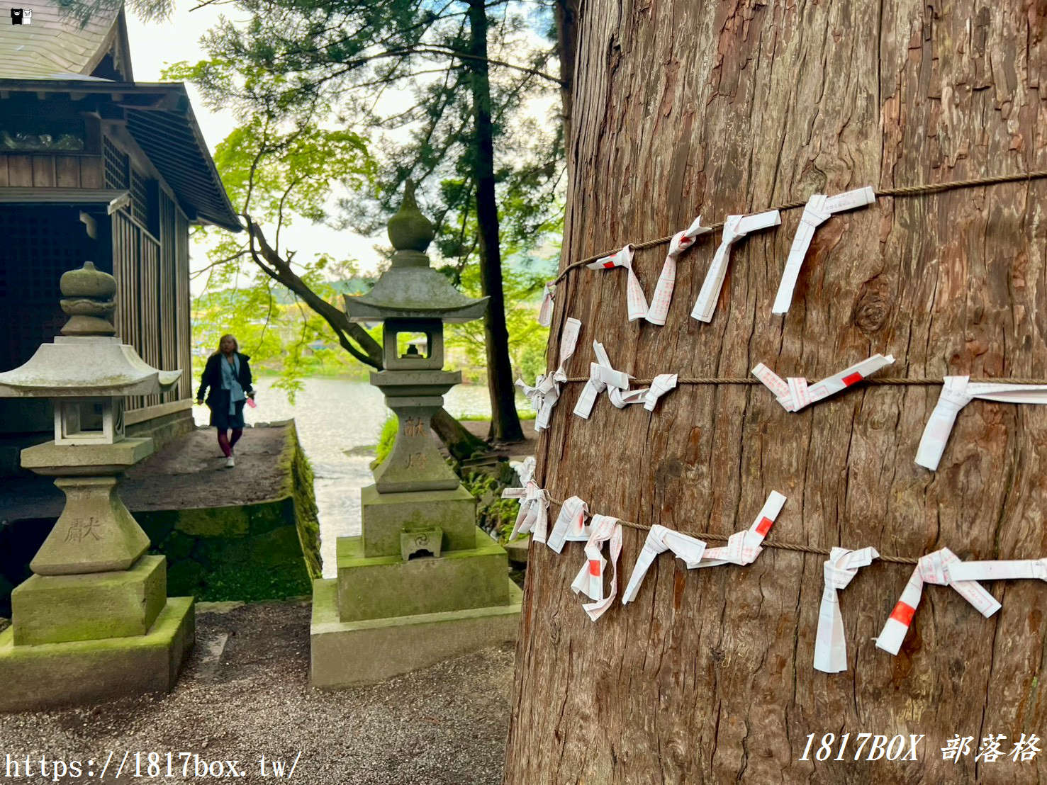 【由布院必訪秘境】金鱗湖天祖神社：水上鳥居如仙境！交通、隱藏拍照點與神話傳說全攻略