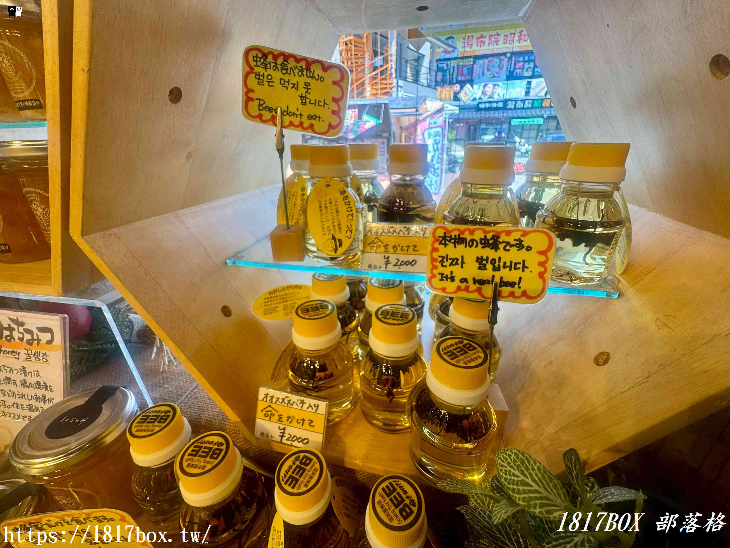 由布院必吃甜點推薦！BeeHoney 湯布院店：現淋濃郁蜂蜜冰淇淋與超清爽外帶蜂蜜水，漫步湯之坪街道的絕配散策美食！