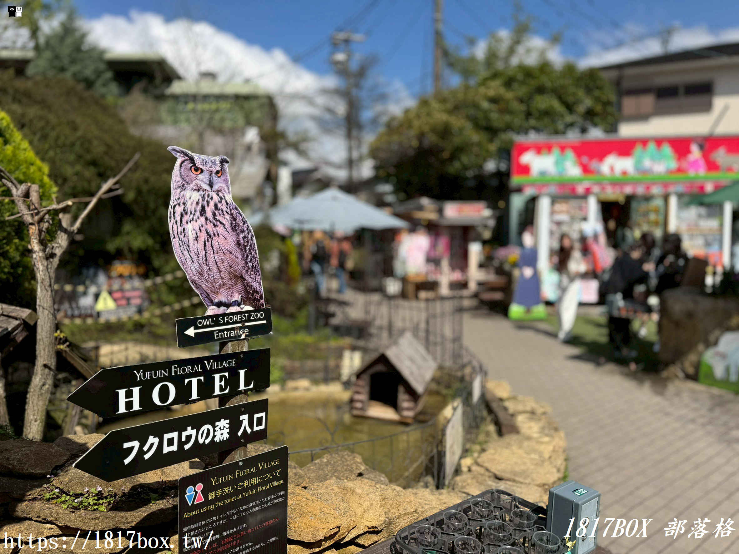 【由布院必訪】走進童話世界！湯布院貓頭鷹之森林（YUFUIN OWL’S FOREST）超萌零距離互動、交通、門票全攻略