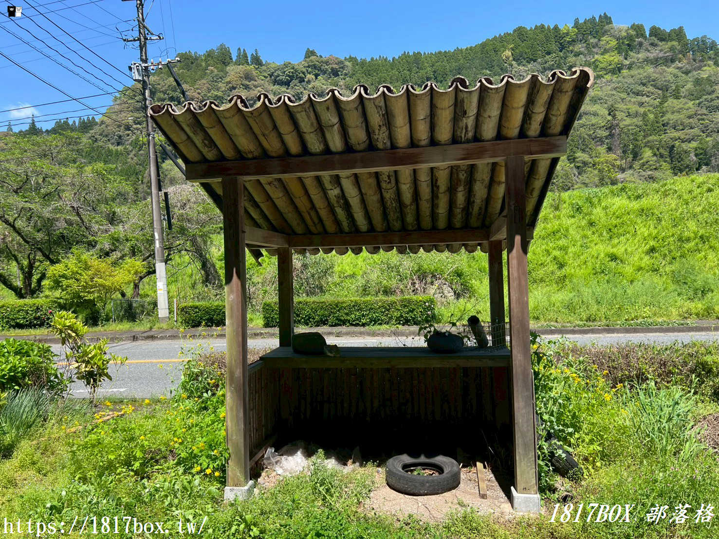走入宮崎駿童話！日本大分「九重町龍貓巴士壁畫」超萌苔蘚藝術、黑炭石頭彩繪全攻略